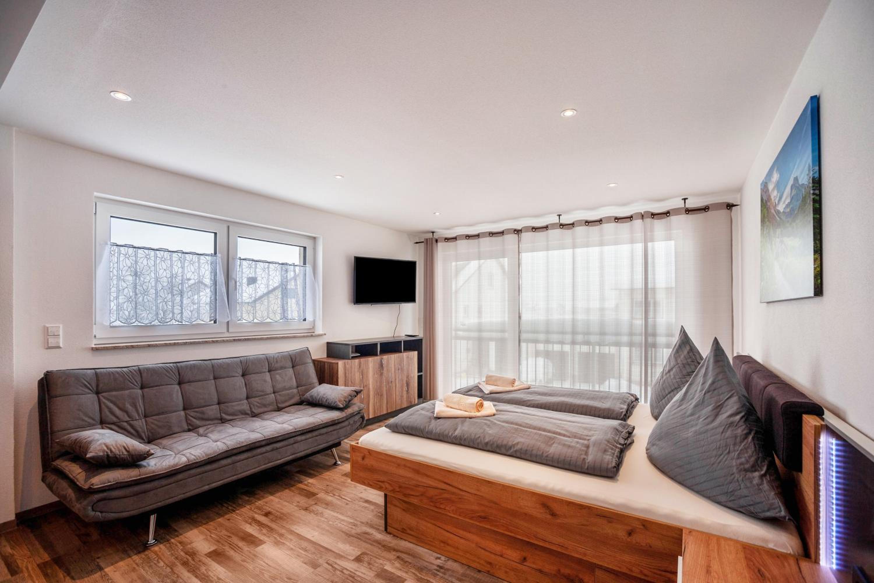 Studio with Sofa Bed