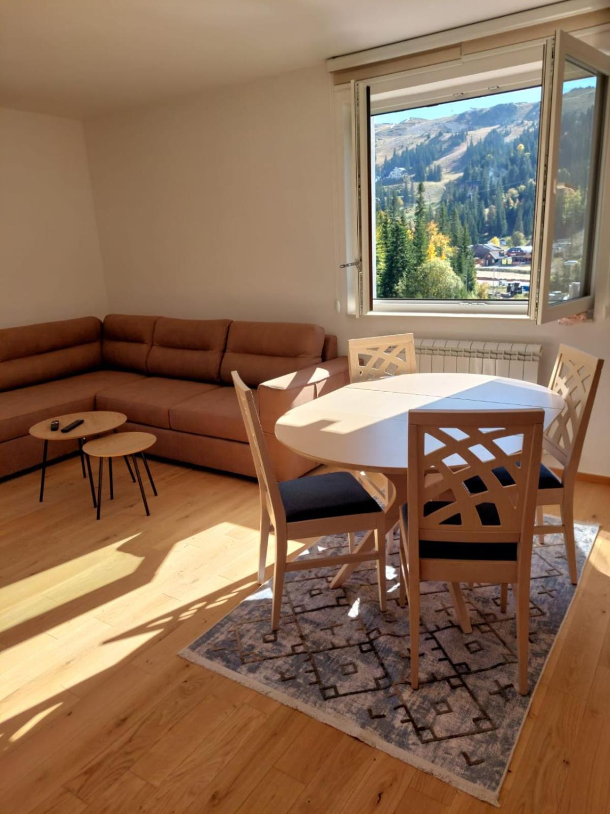 One-Bedroom Apartment photo 3
