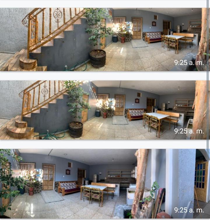 Family Studio photo 2