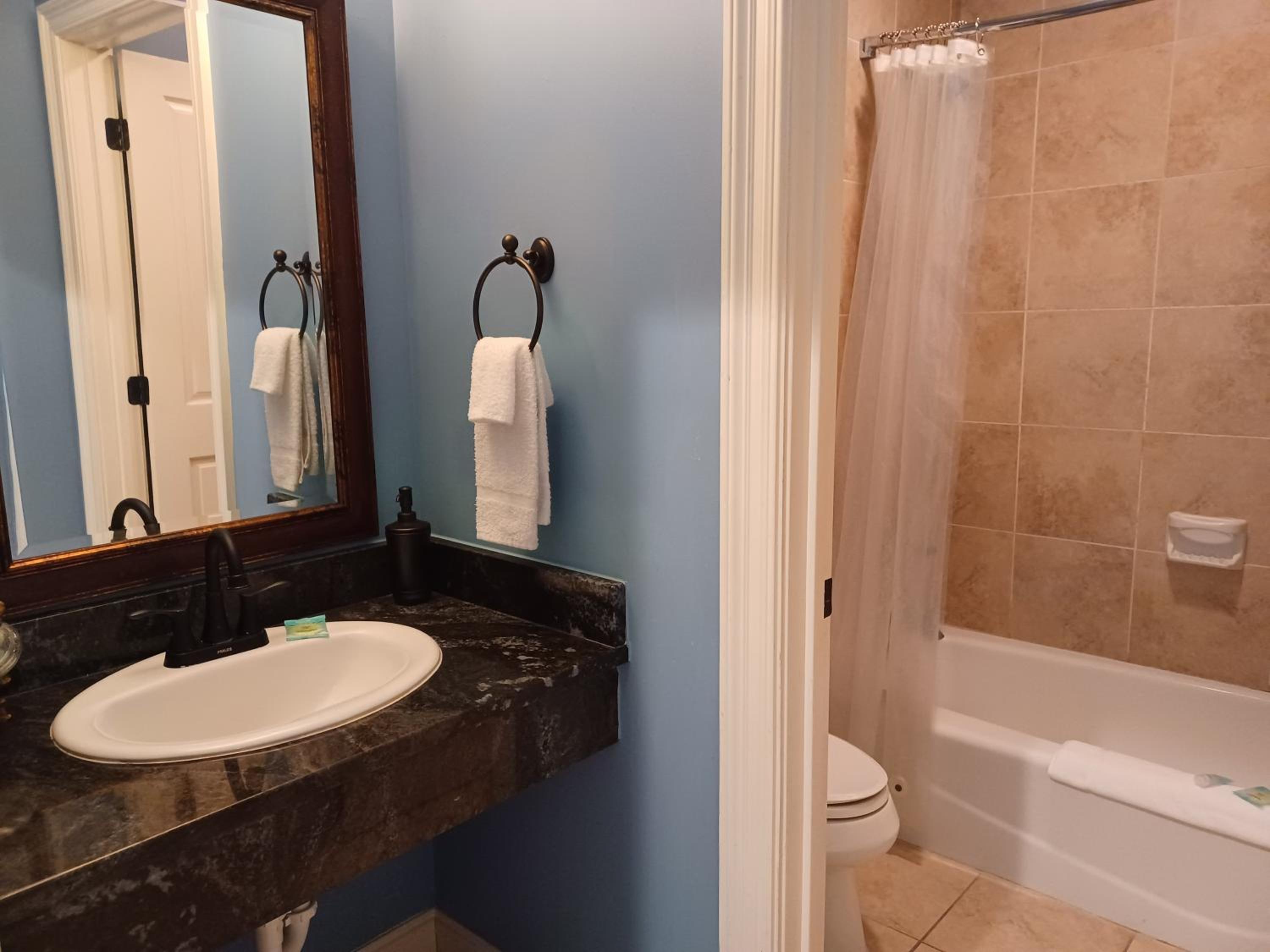 Deluxe Queen Room photo 3