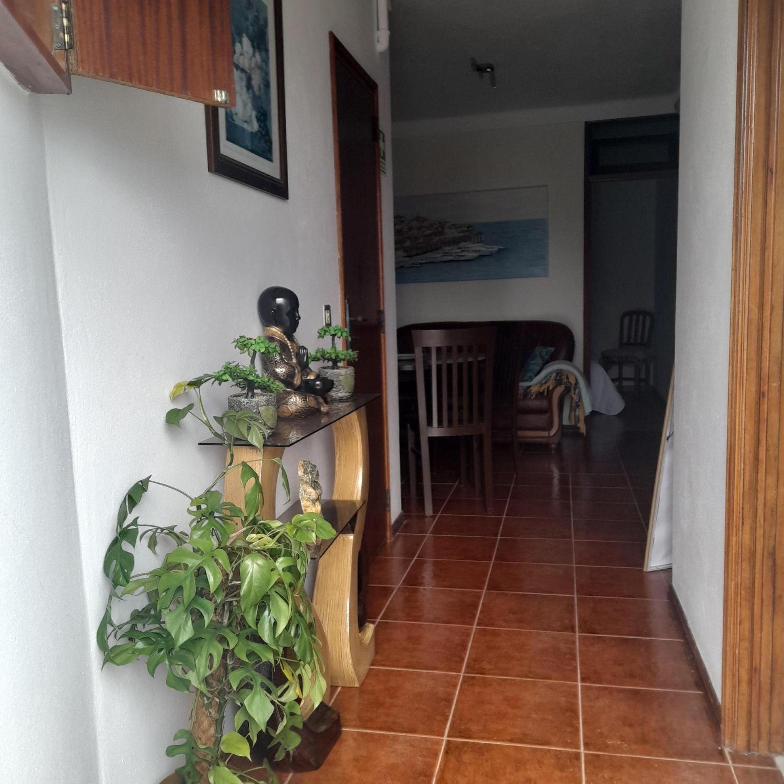 One-Bedroom House photo 2