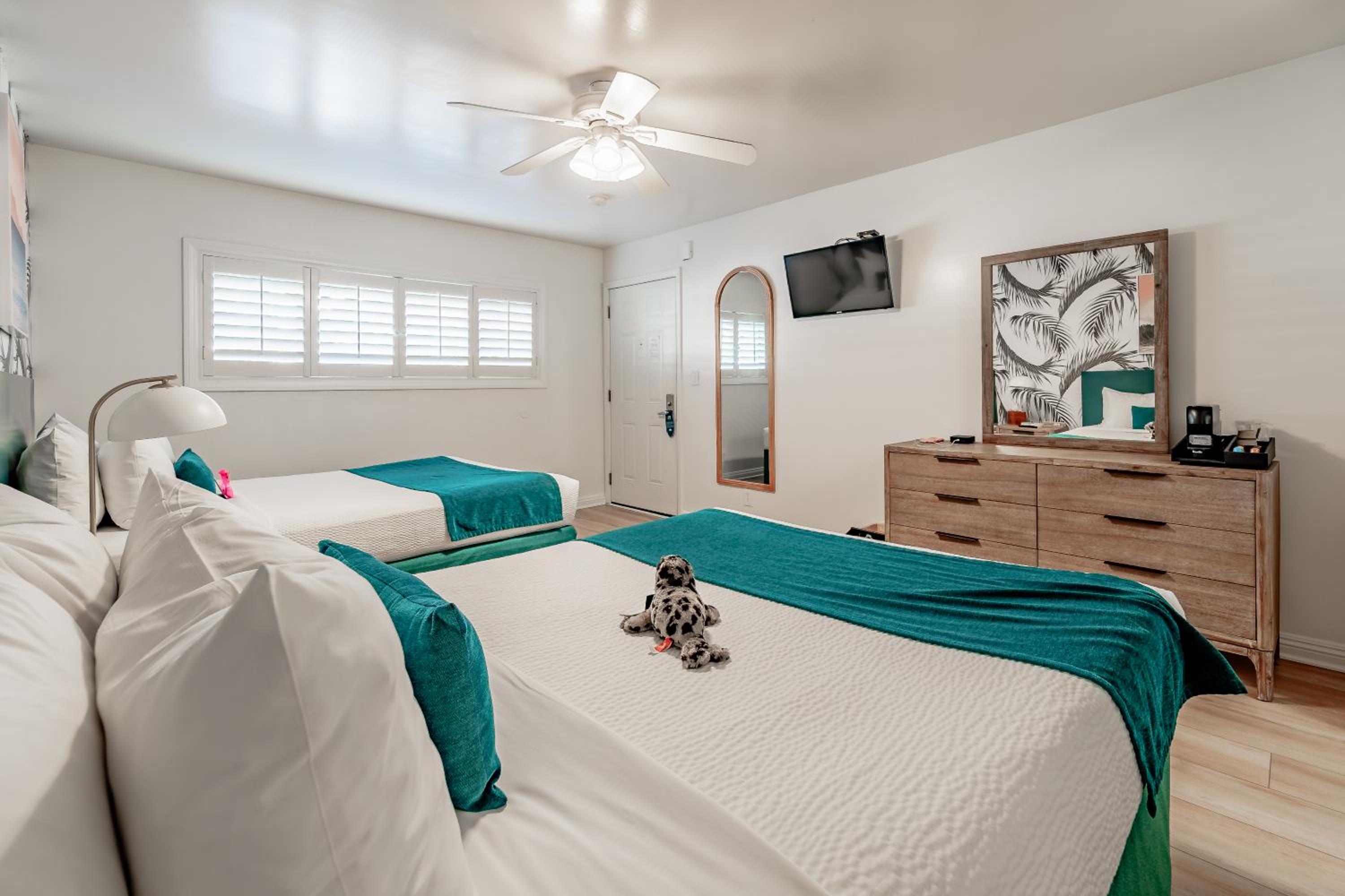 Double Room - Disability Access photo 1
