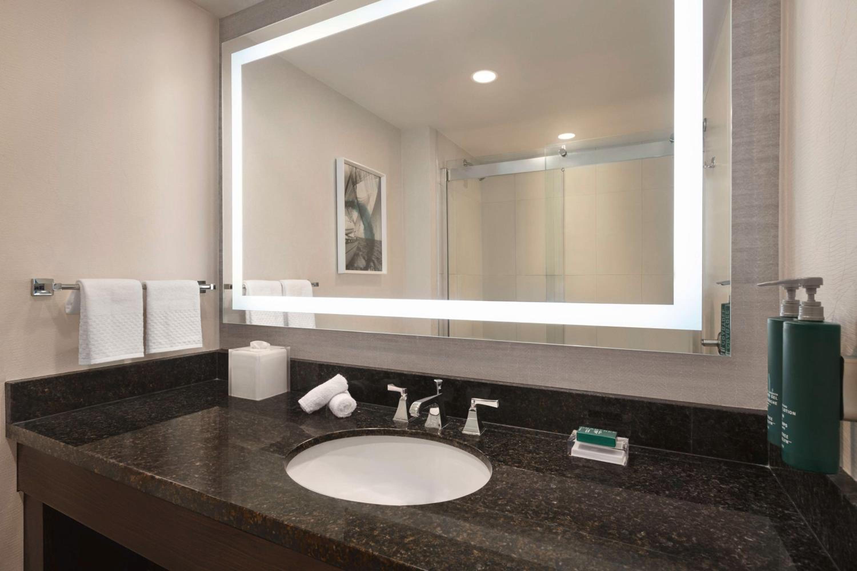 KING ONE BEDROOM SUITE - Photo 5