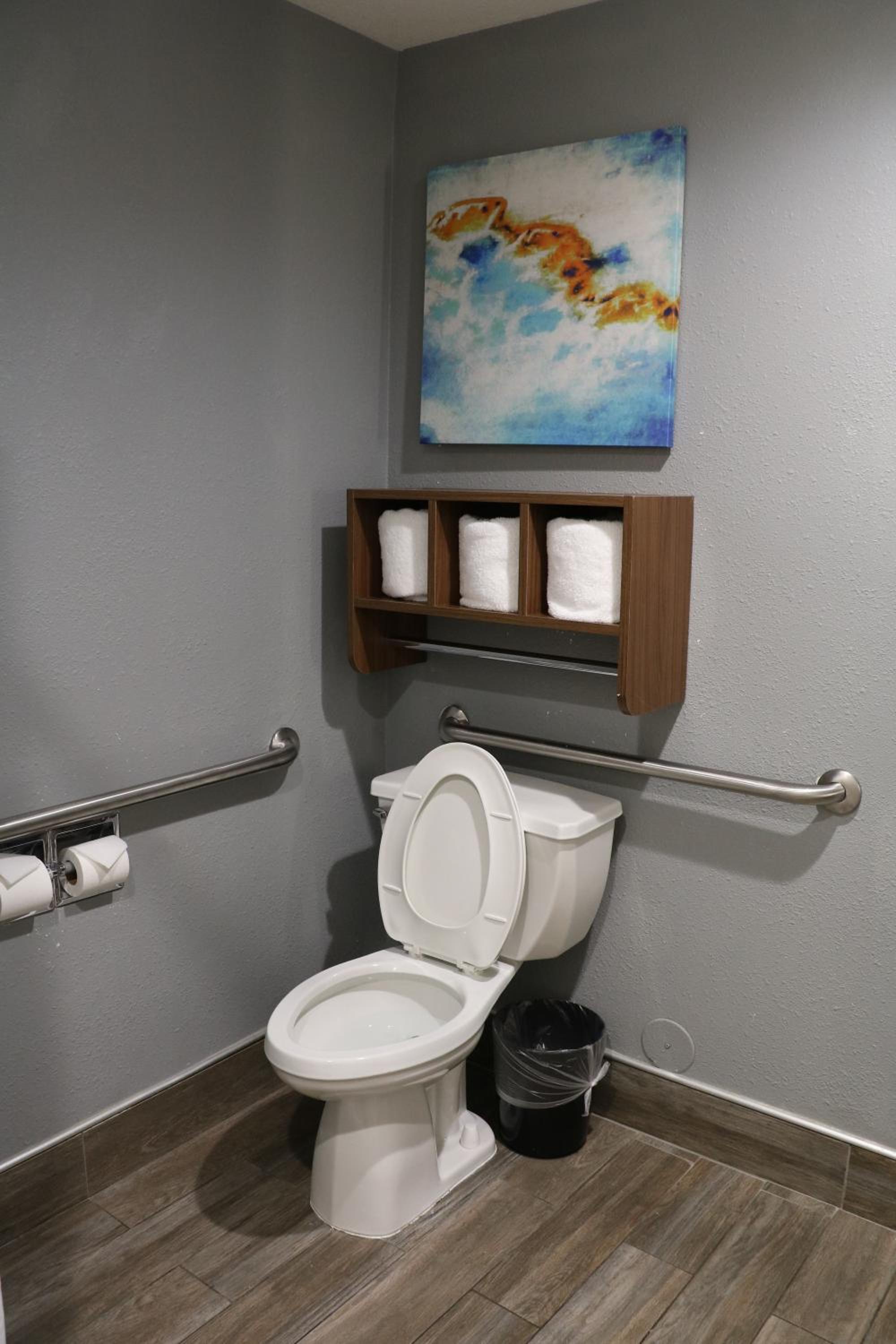 King Room with Roll-In Shower - Mobility Accessible/Non-Smoking - Photo 4