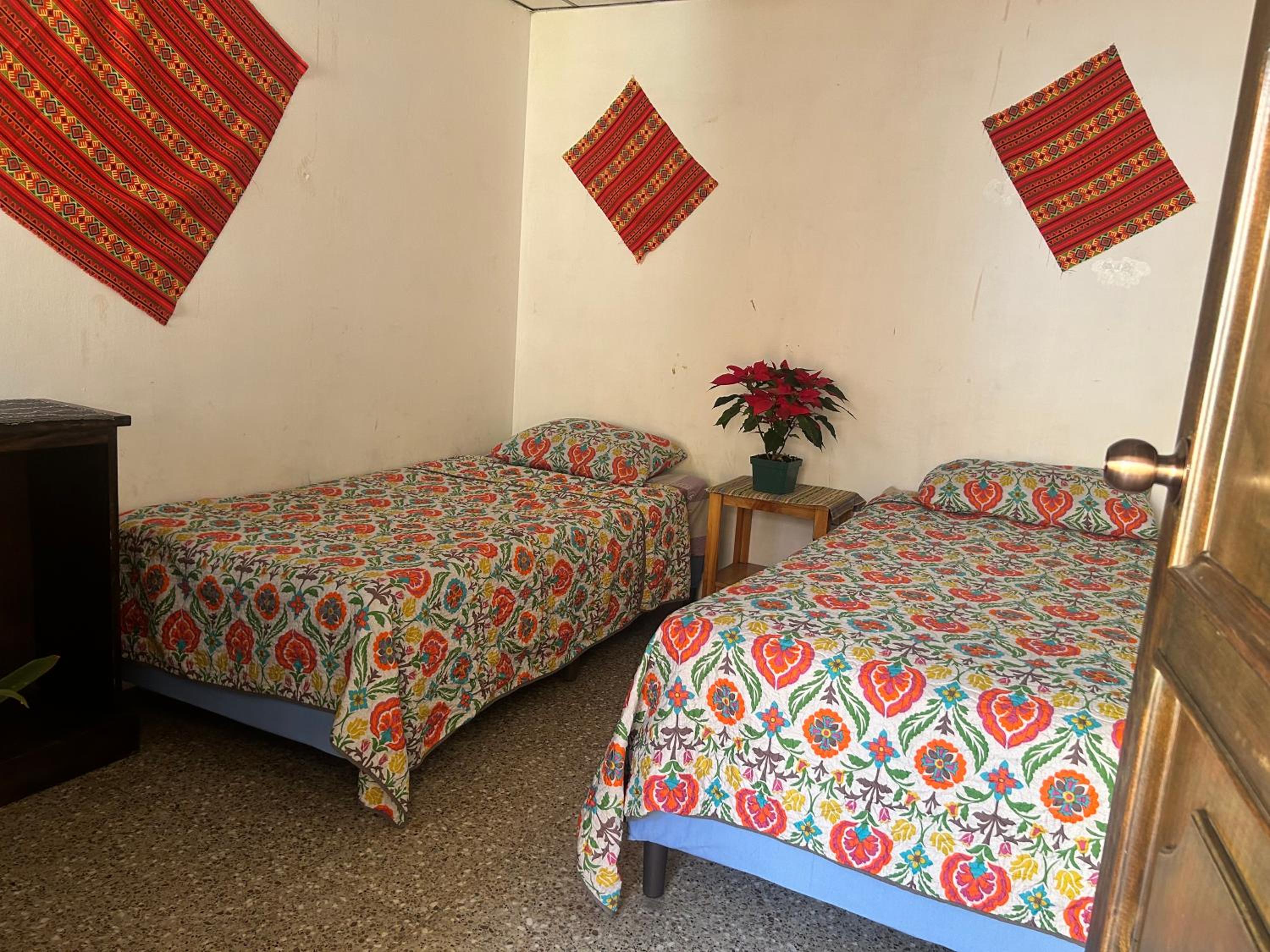 Standard Twin Room photo 1