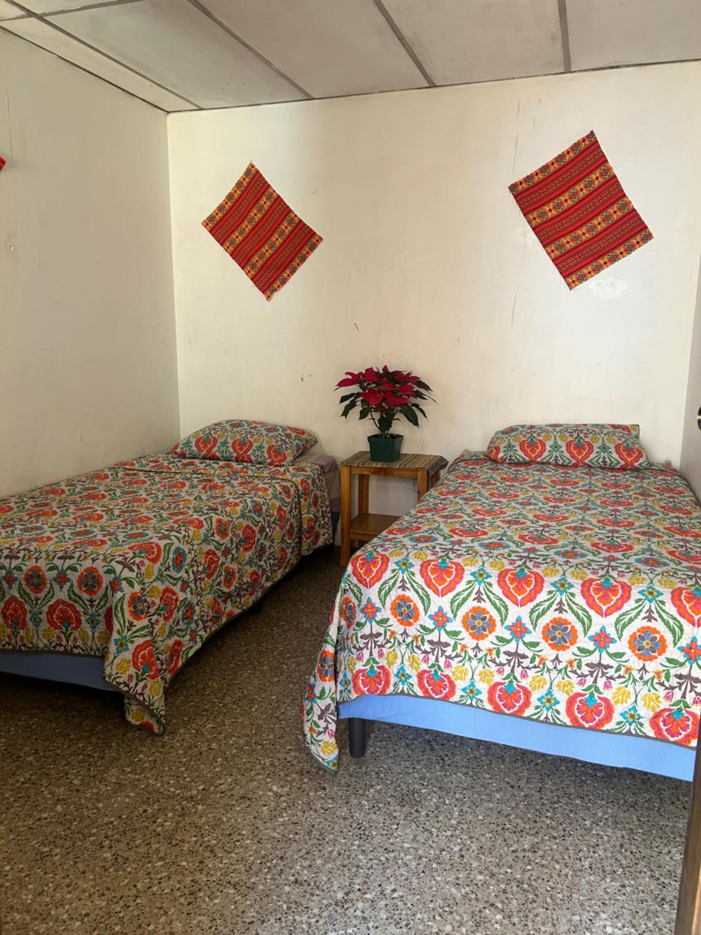 Standard Twin Room photo 1