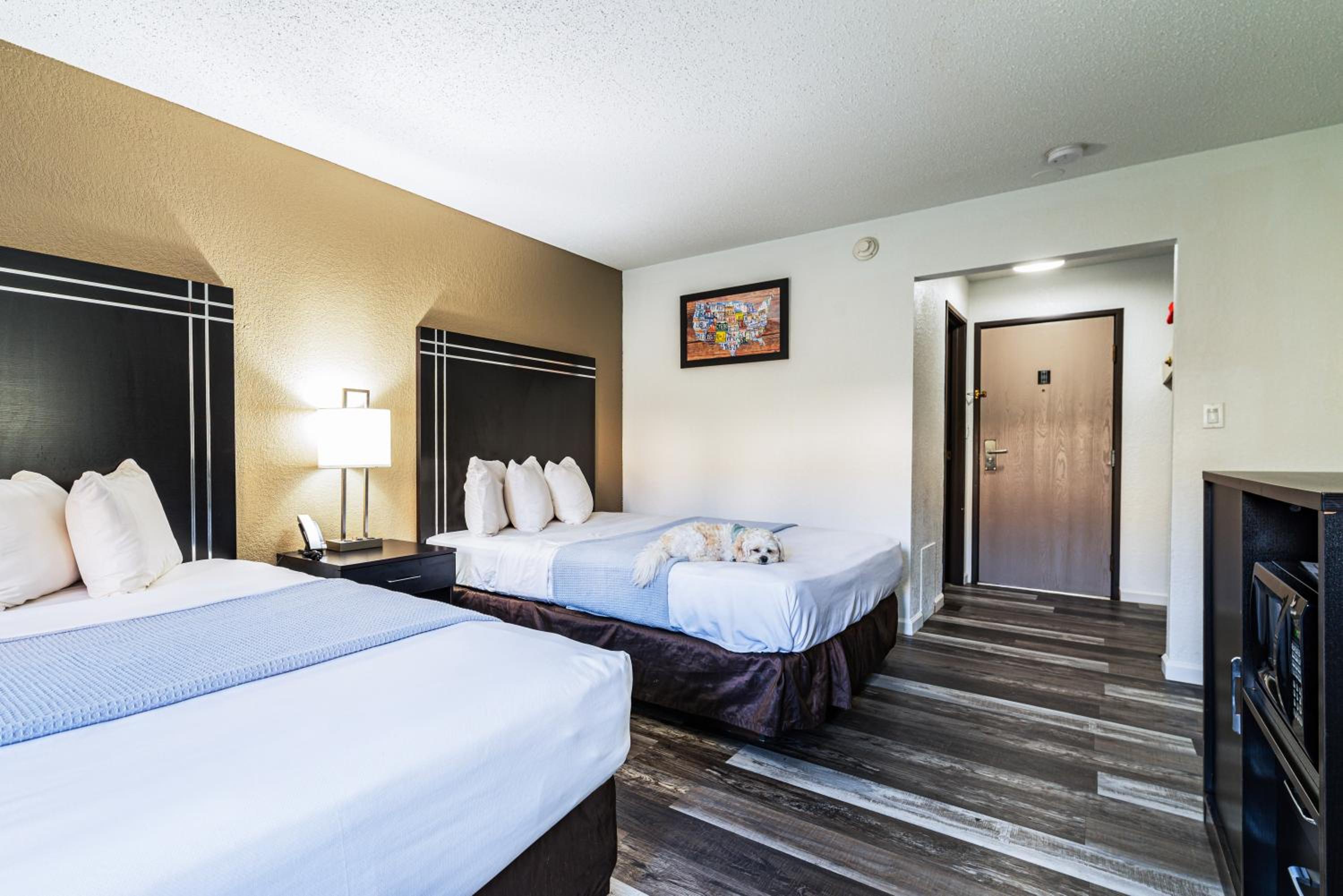Queen Room with Two Queen Beds - Non Smoking/Pet Friendly - Photo 1