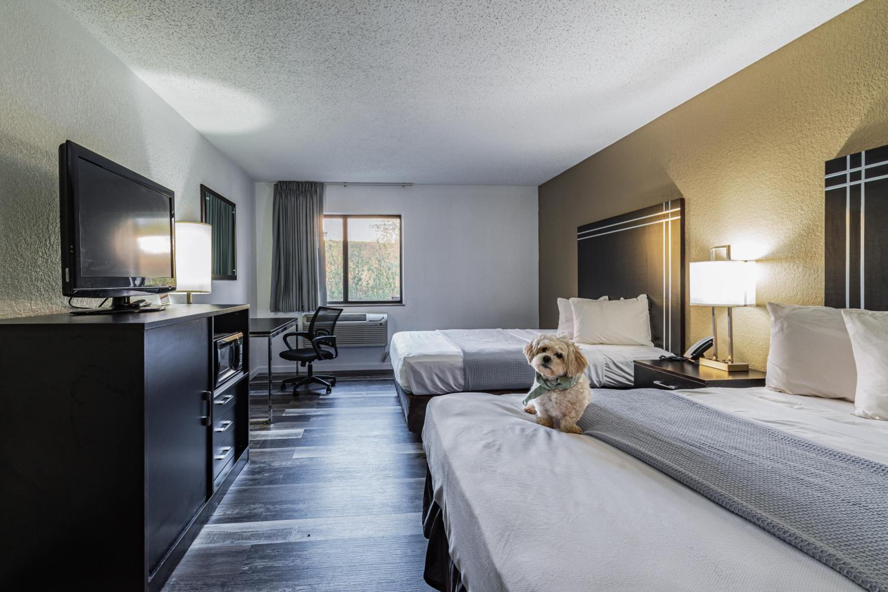 Queen Room with Two Queen Beds - Non Smoking/Pet Friendly - Photo 3