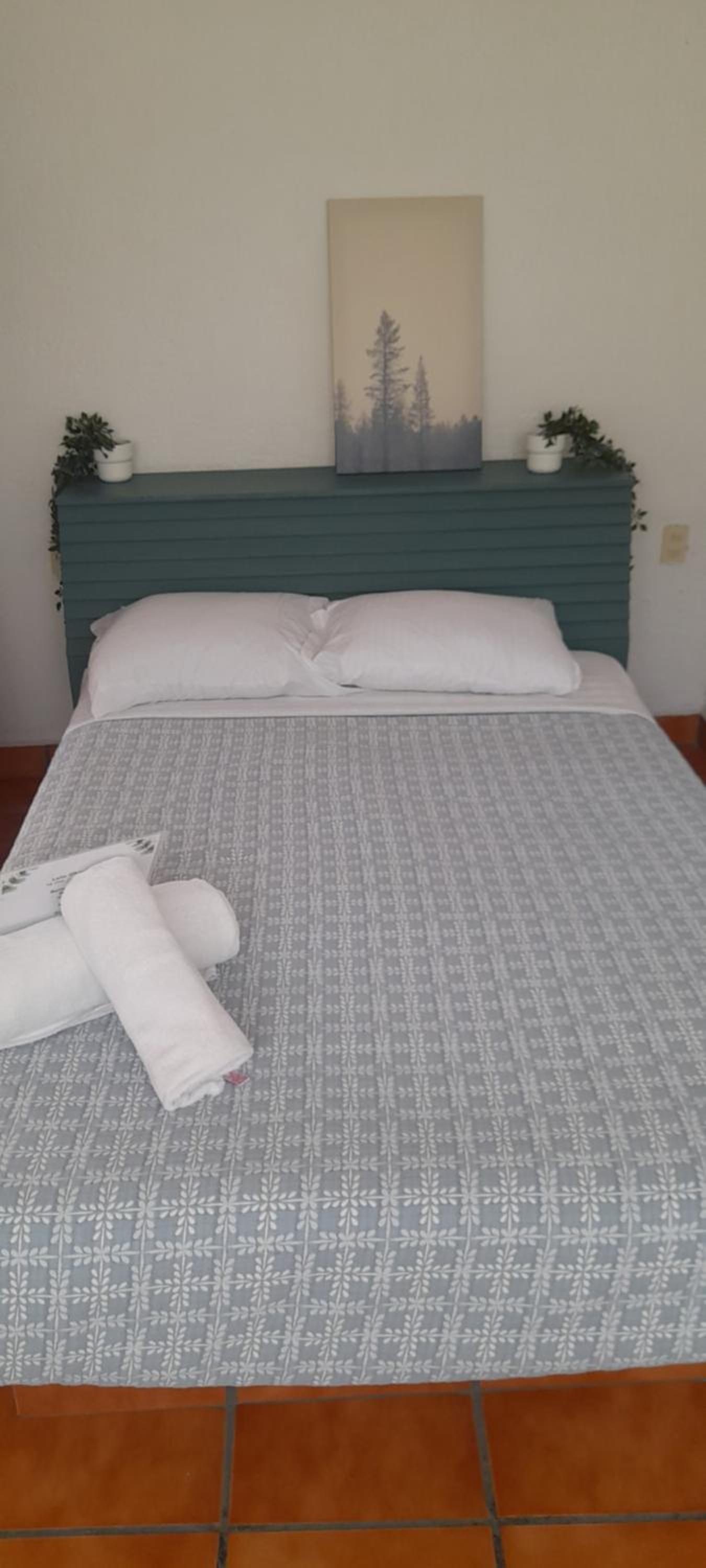 Double Room with Shared Bathroom