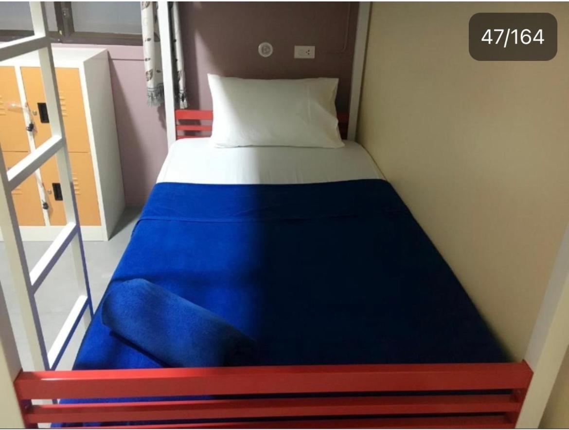 Bunk Bed in Mixed Dormitory Room photo 1