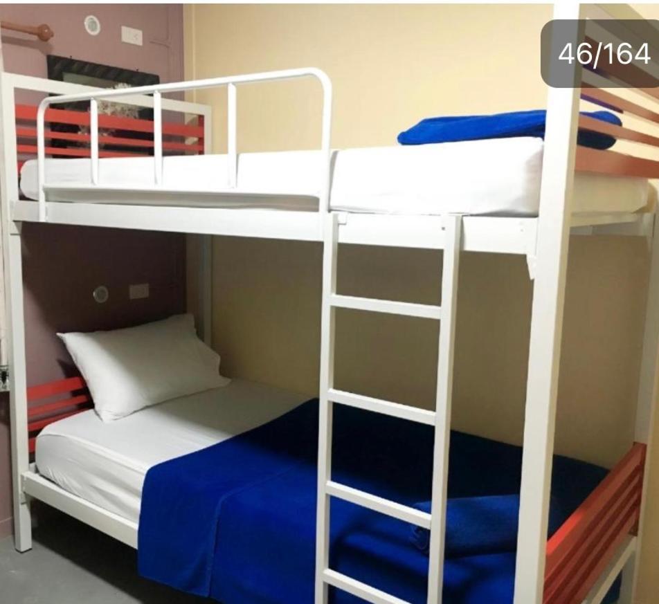 Bunk Bed in Mixed Dormitory Room photo 2