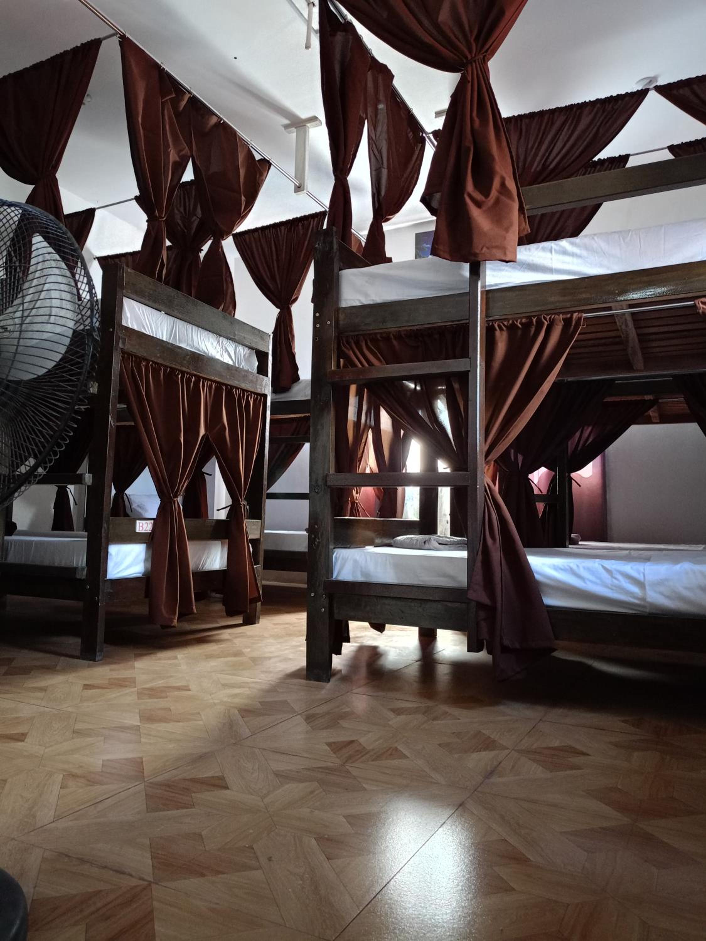 Bunk Bed In Mixed Dormitory Room photo 1