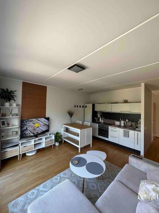 One-Bedroom Apartment photo 2