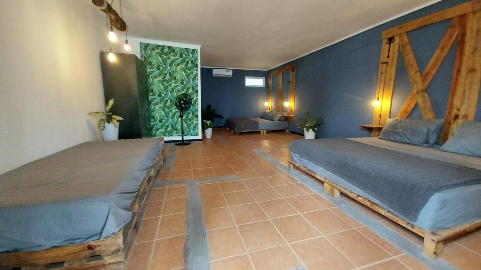 Deluxe Family Seafront with Terrace photo 1