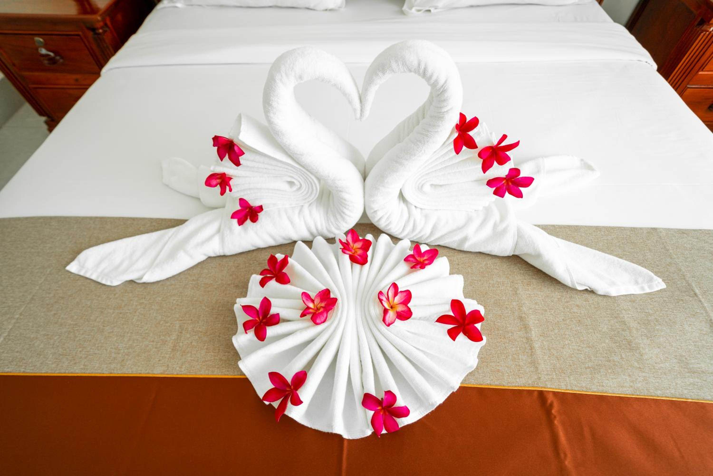 Suite - Photo 2