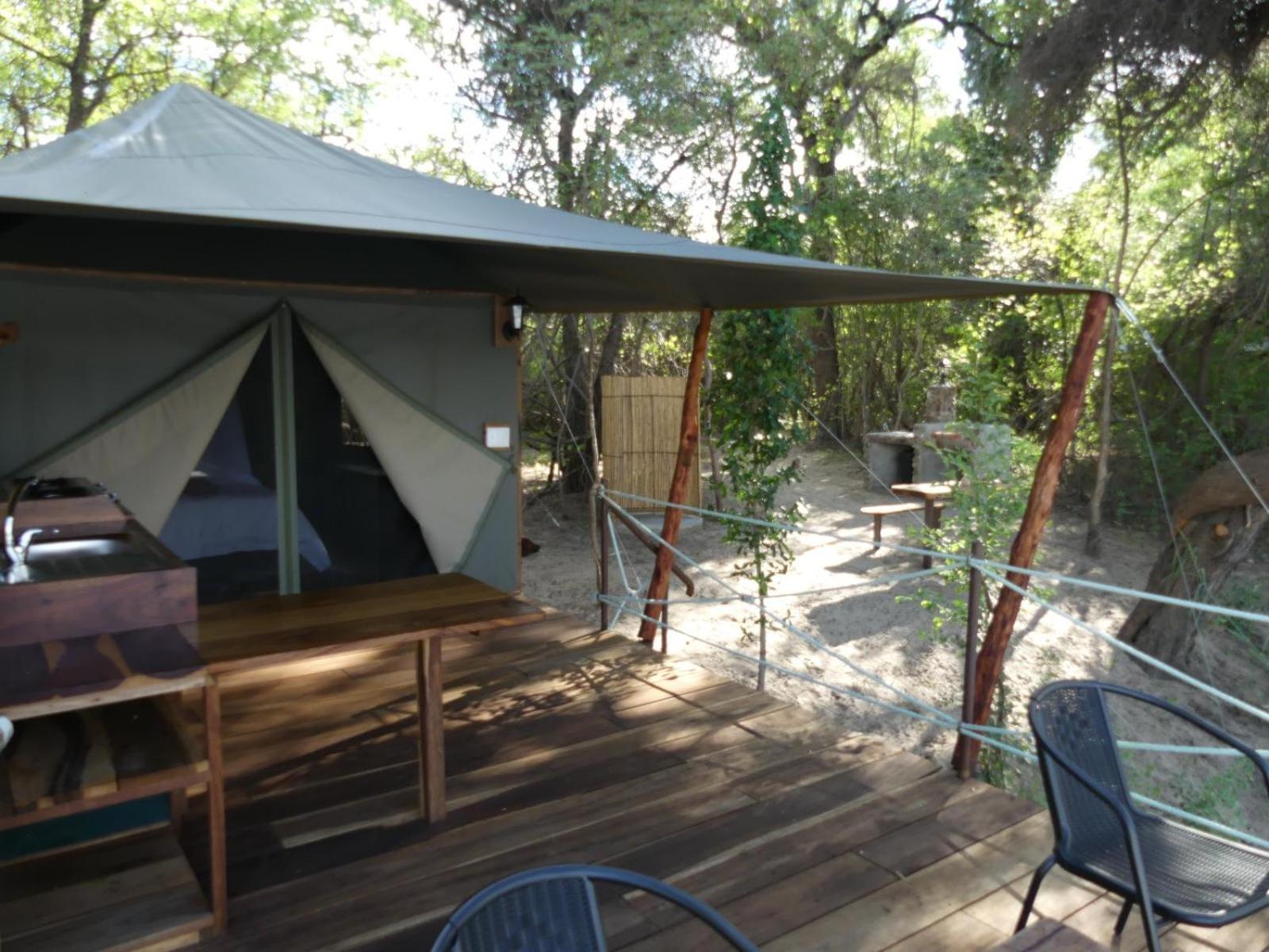 Luxury Tent photo 3