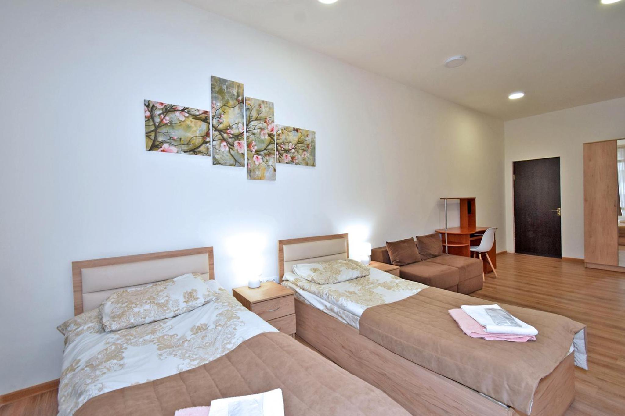 Superior Twin Room with City View