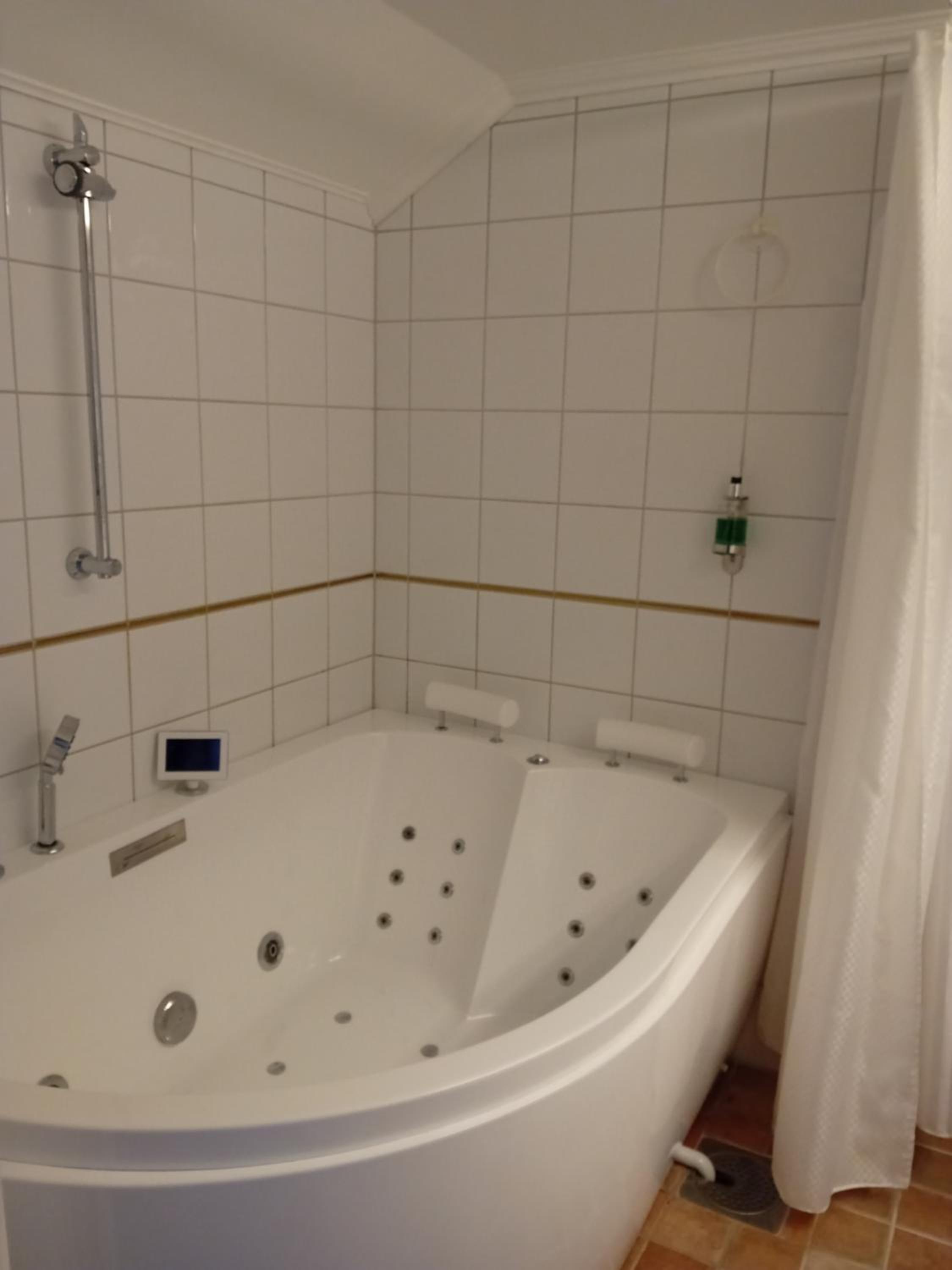 Deluxe Suite with Spa Bath photo 3