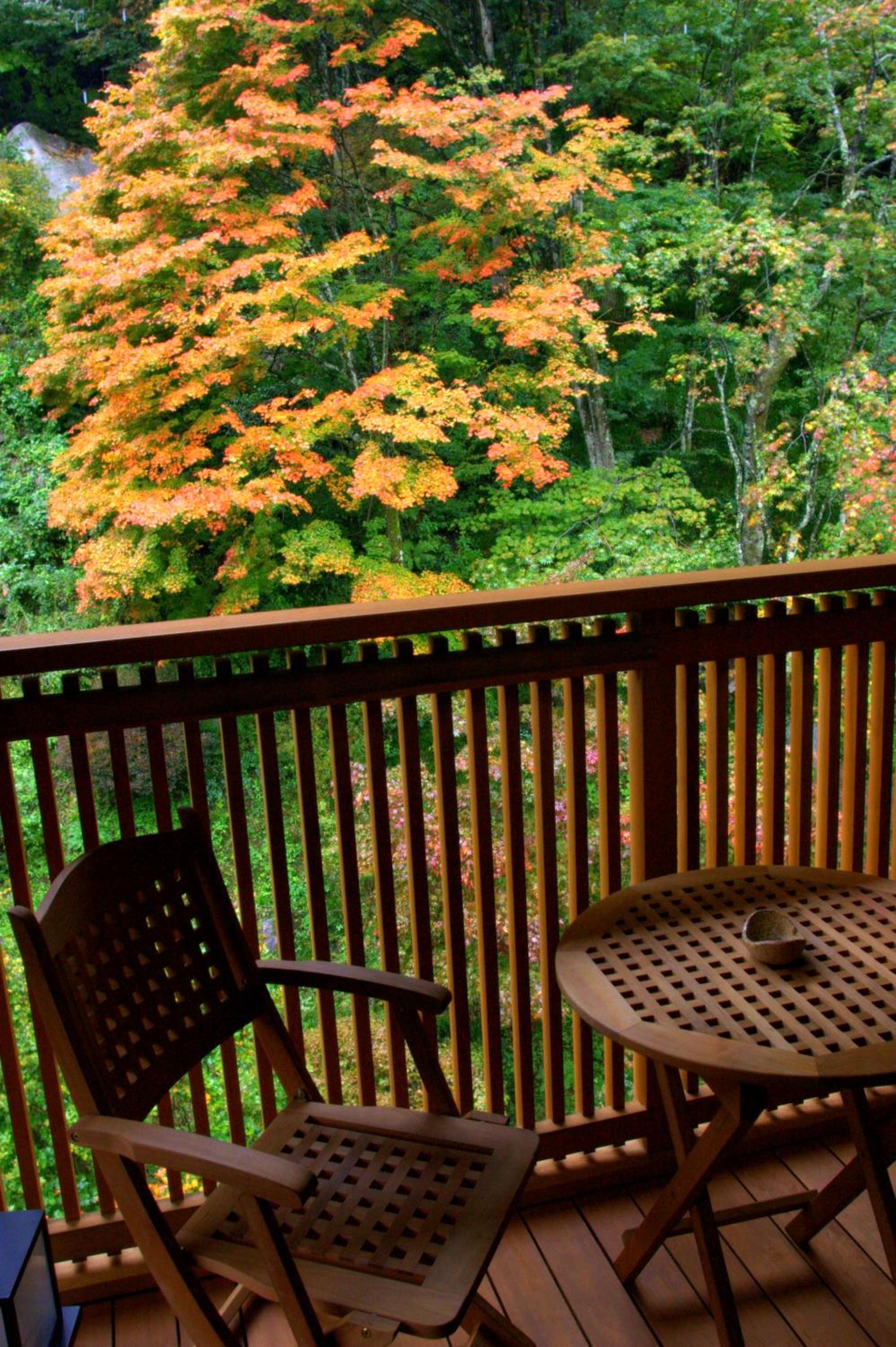 Twin Room with Terrace photo 3
