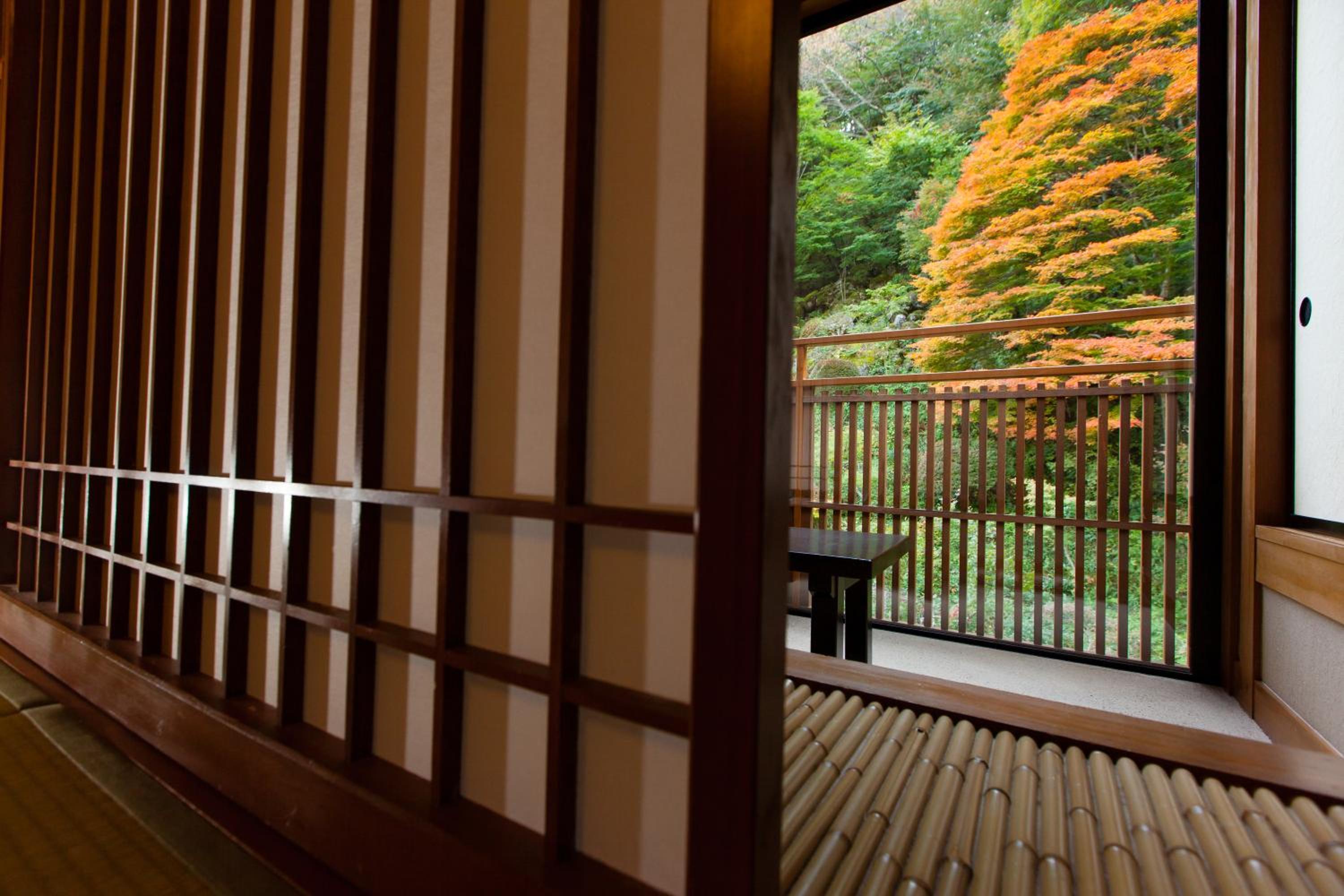 Deluxe Japanese-Style Room with Open-Air Bath  photo 3