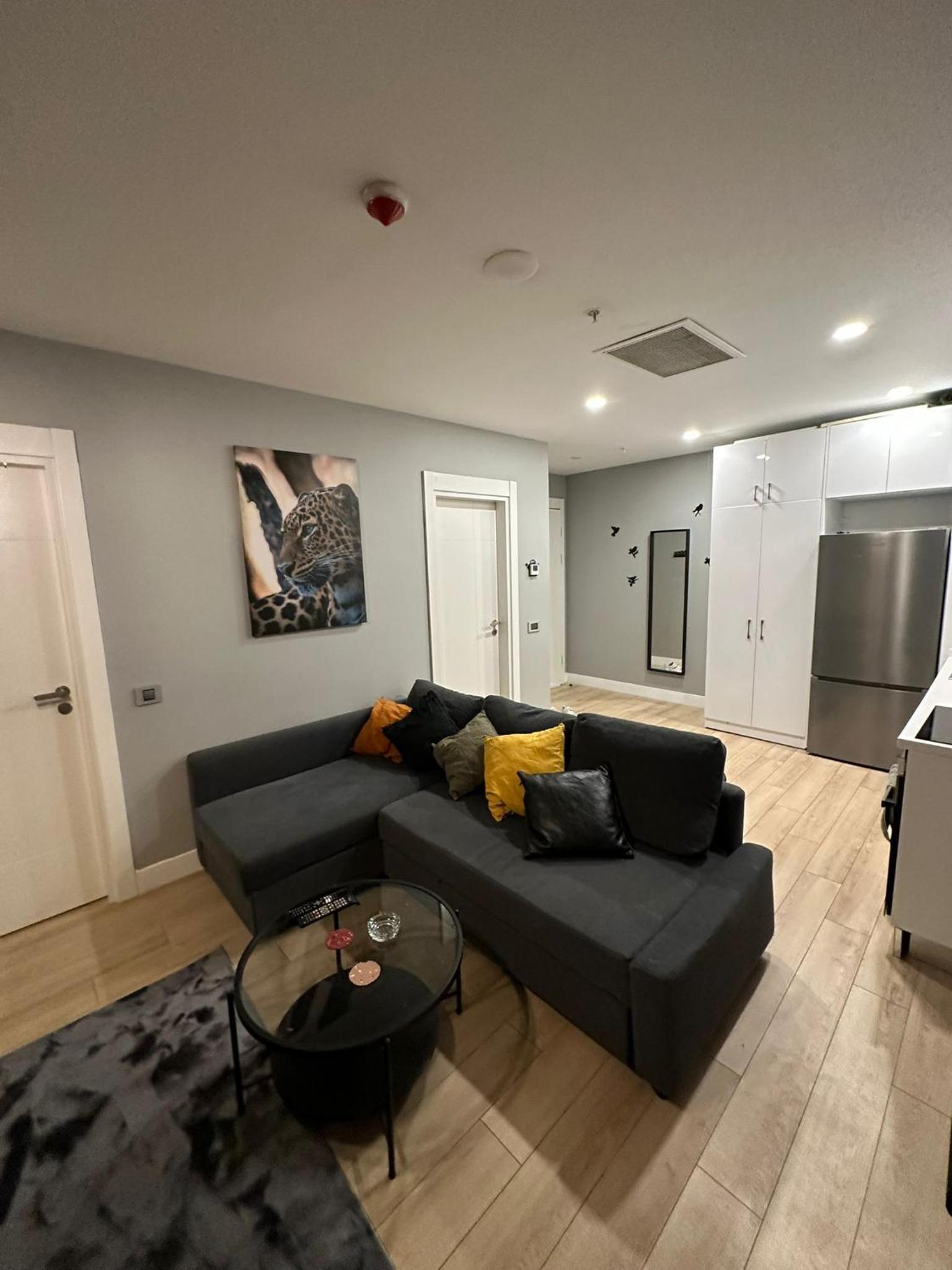 One-Bedroom Apartment photo 3
