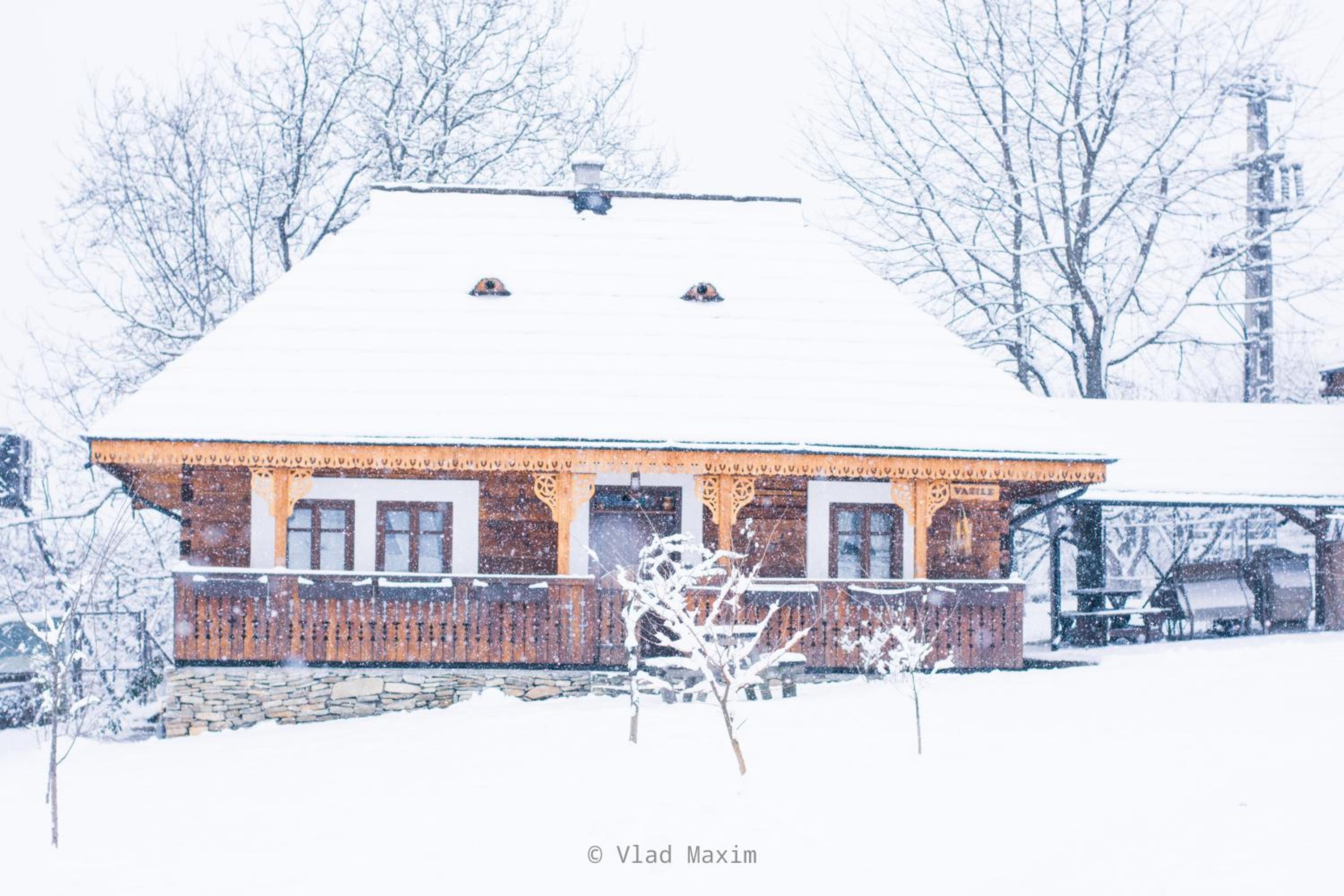 Cottage Vasile photo 2