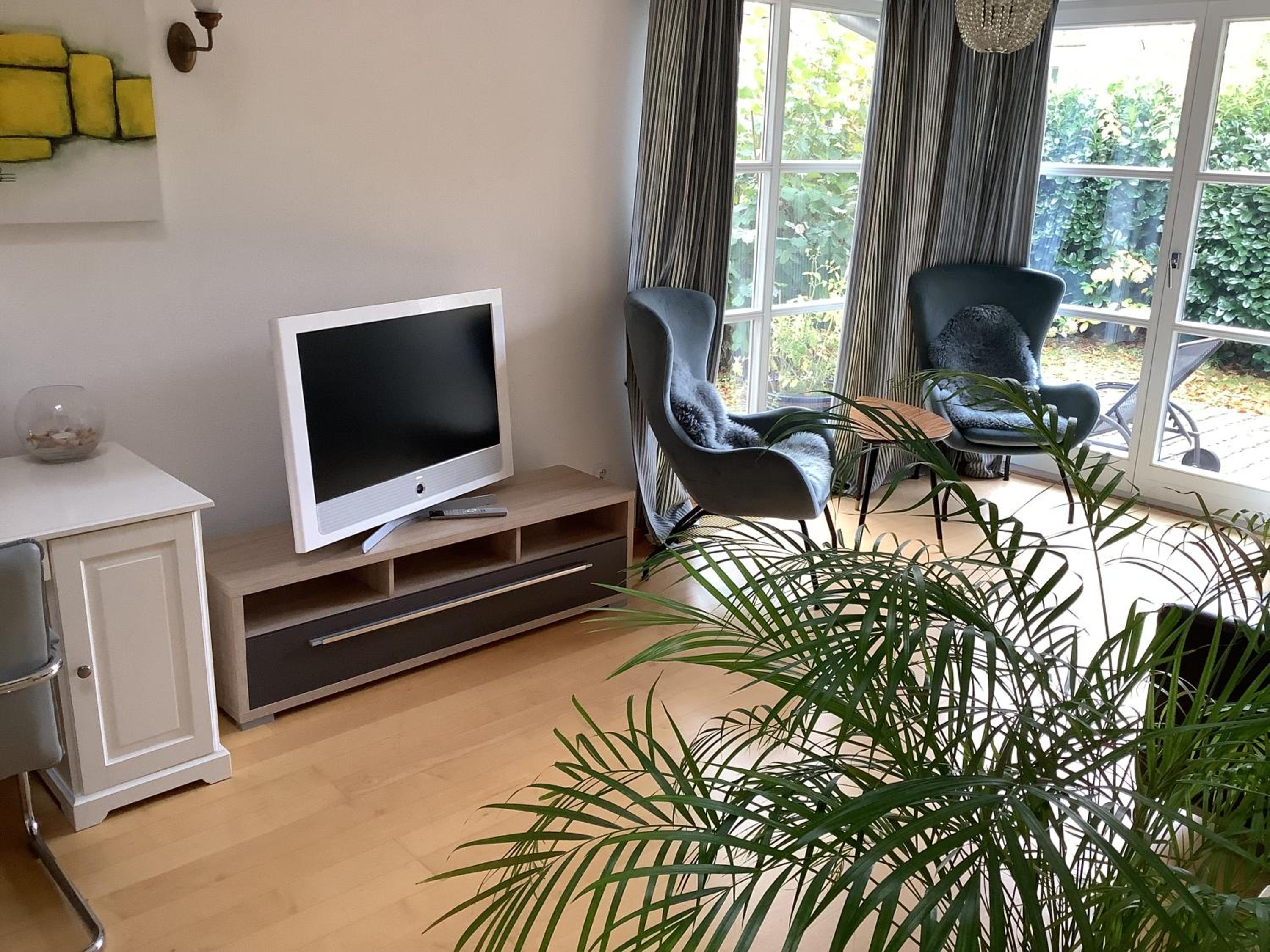 Apartment with Terrace photo 2