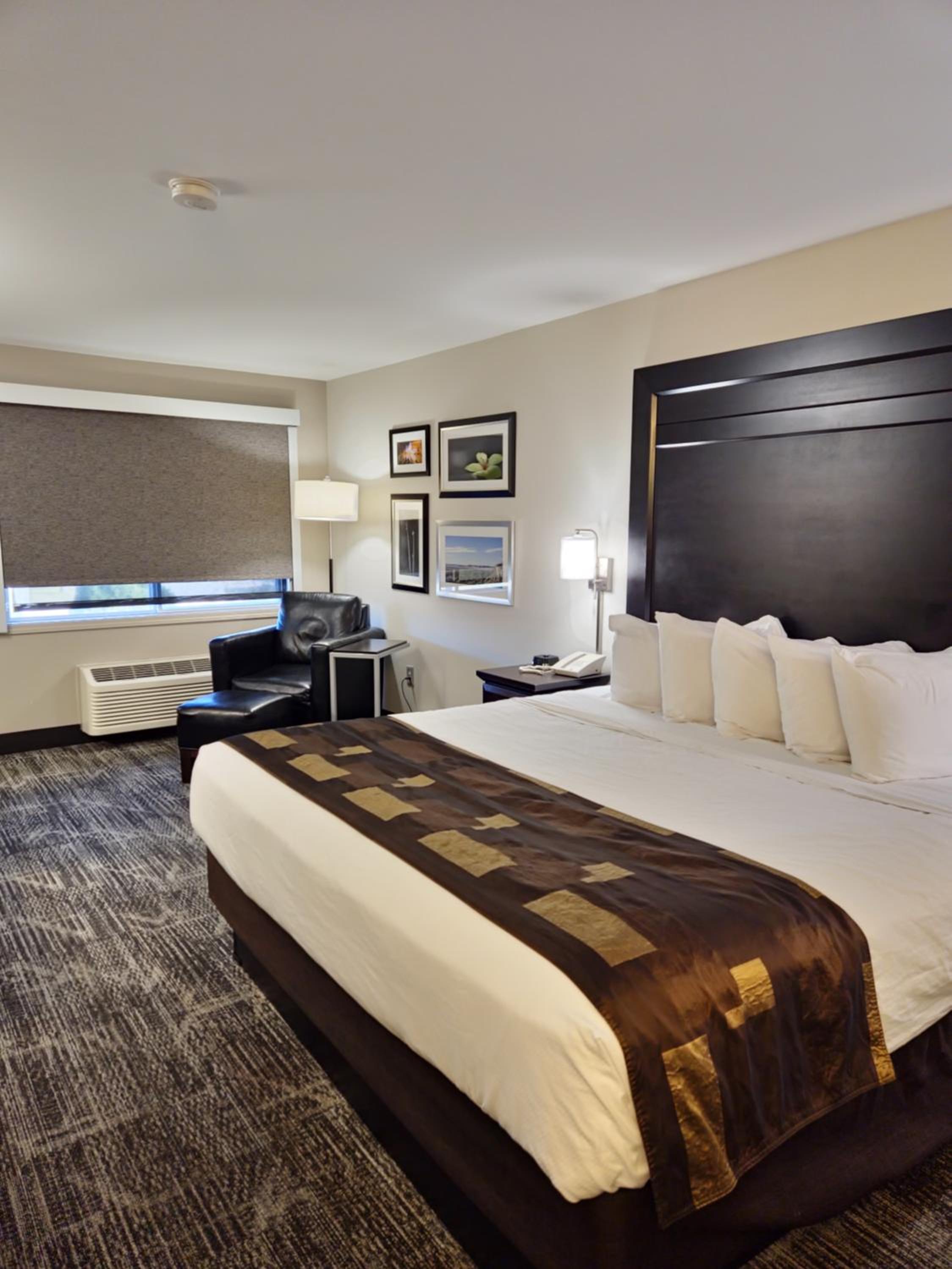 King Room - Photo 1