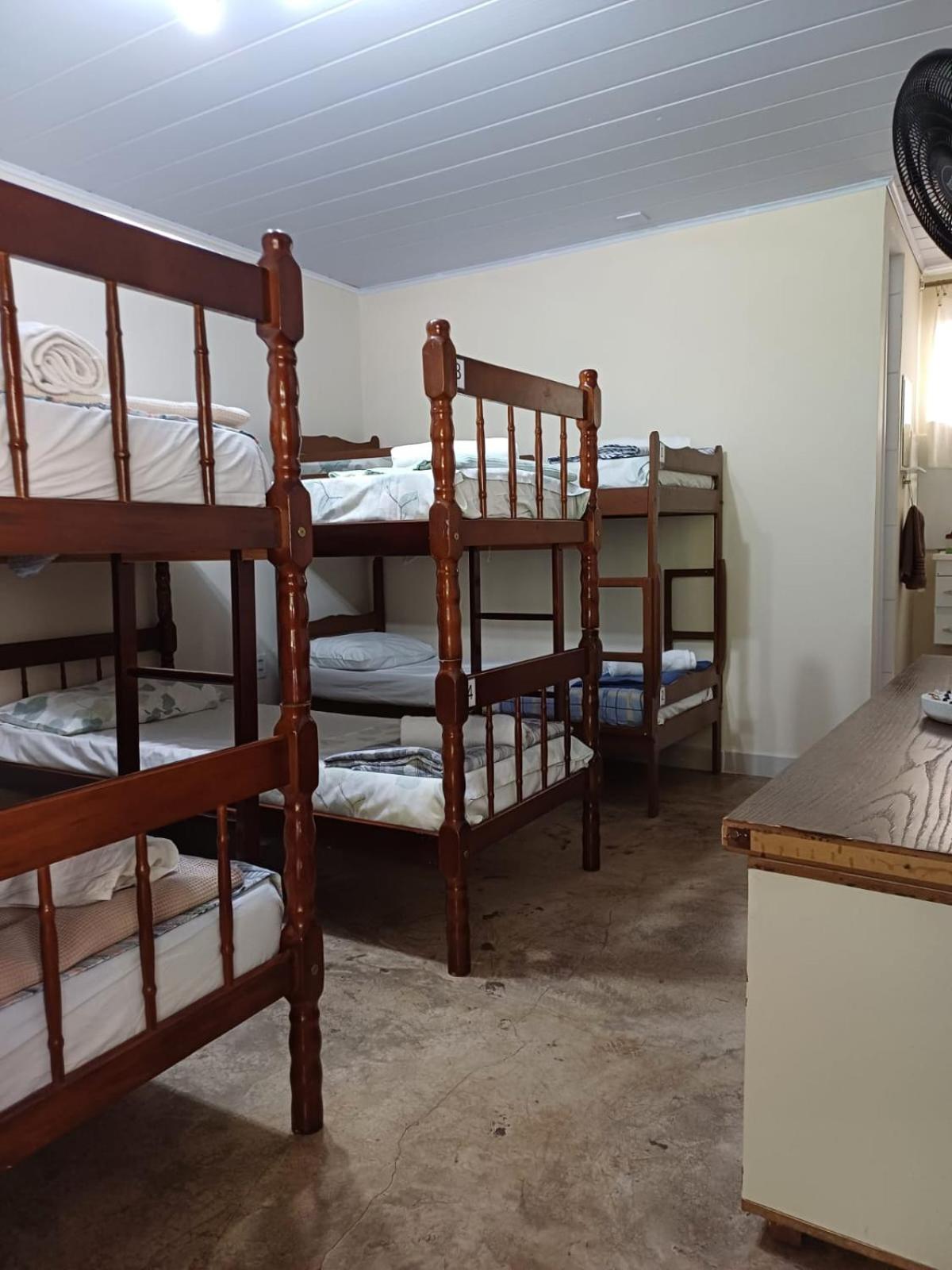 Bed in 6-Bed Male Dormitory Room photo 1