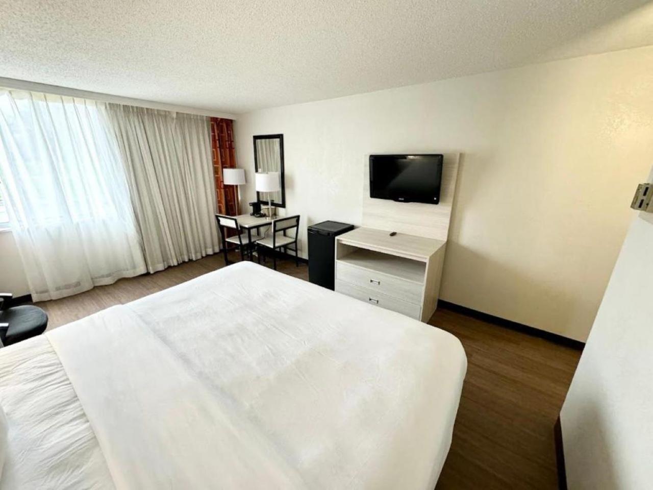 King Room - Non-Smoking - Photo 2
