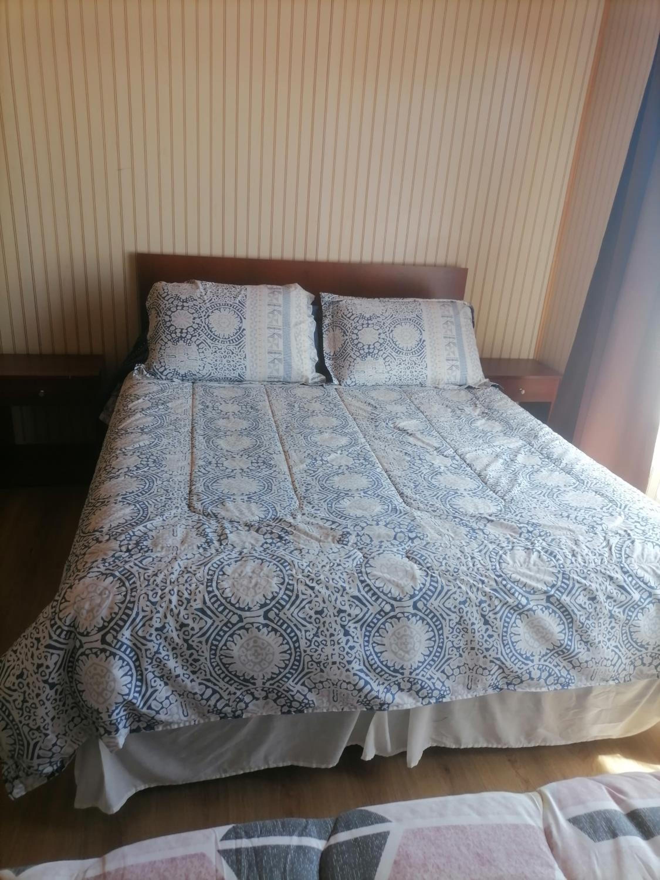 Twin Room photo 1