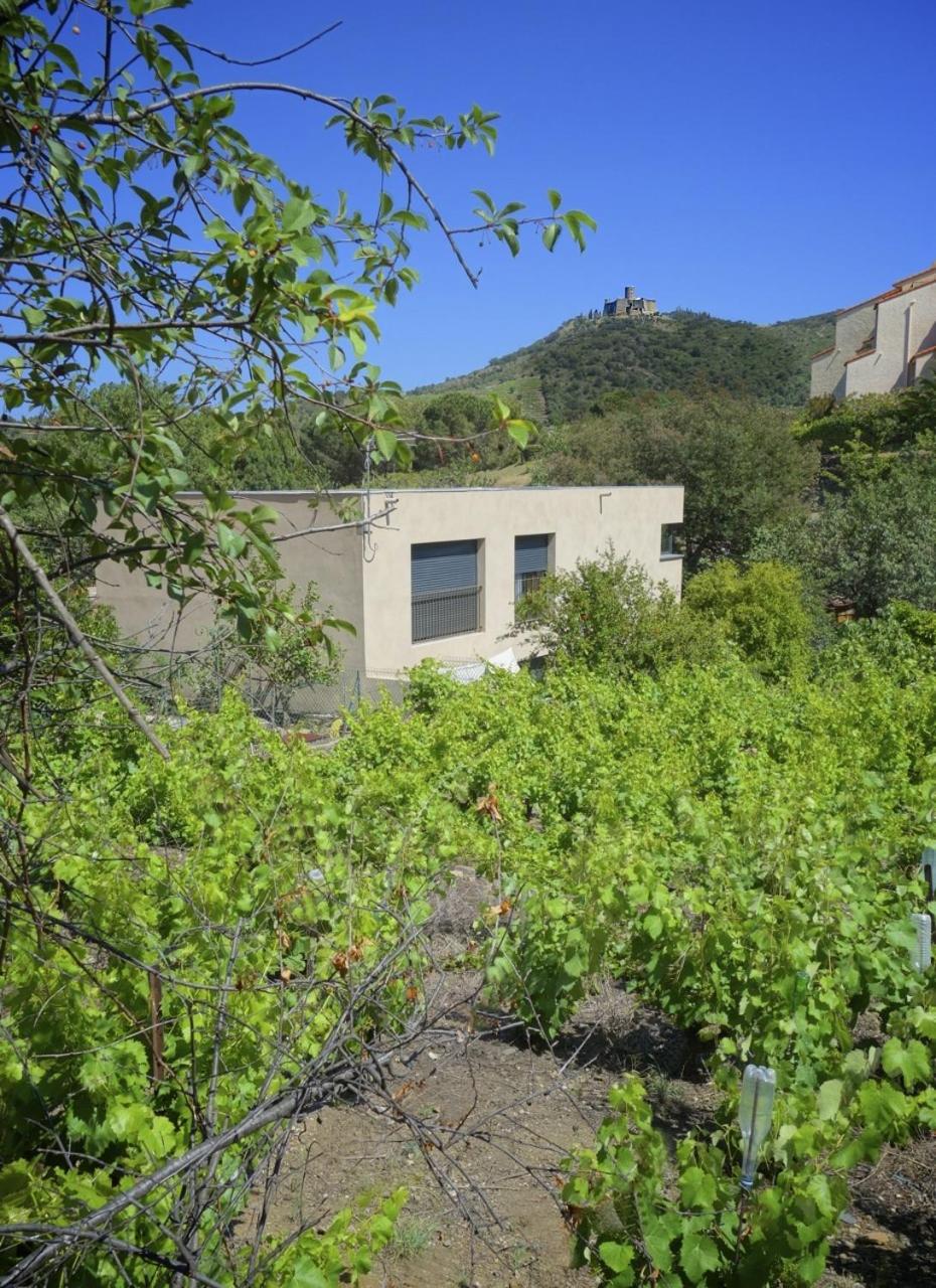 Apartment with Terrace (2 Adults) photo 2