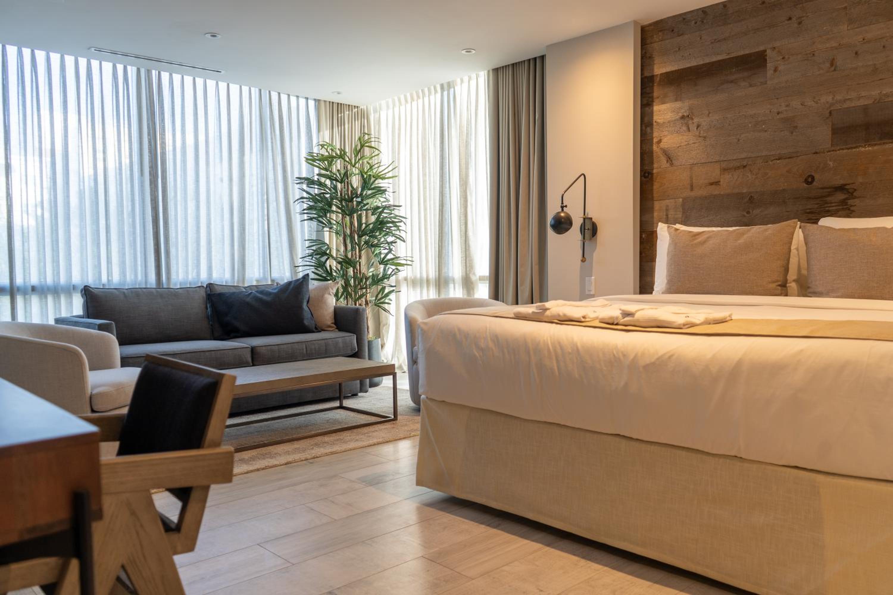 Deluxe King Suite - Photo 1