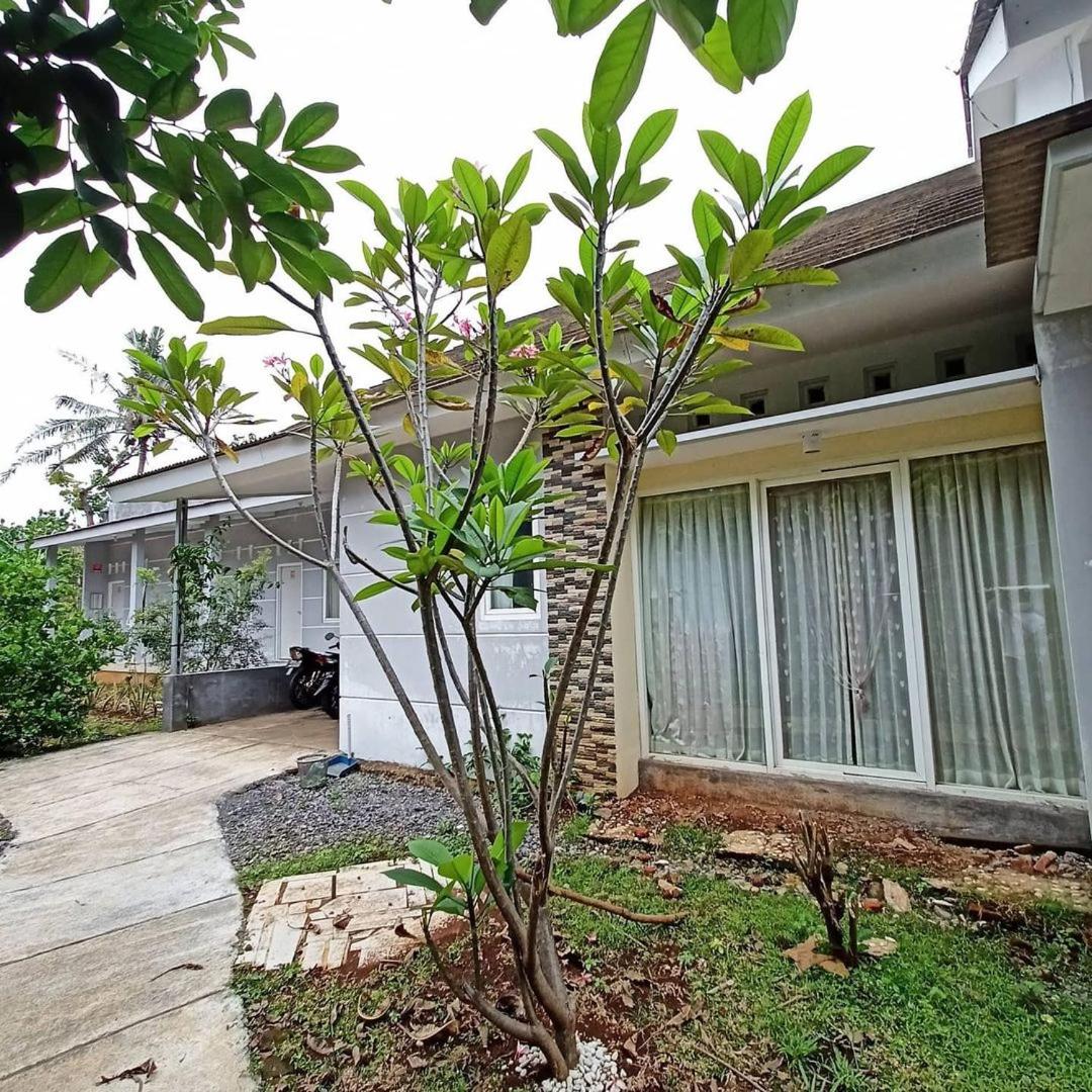 One-Bedroom Villa photo 2
