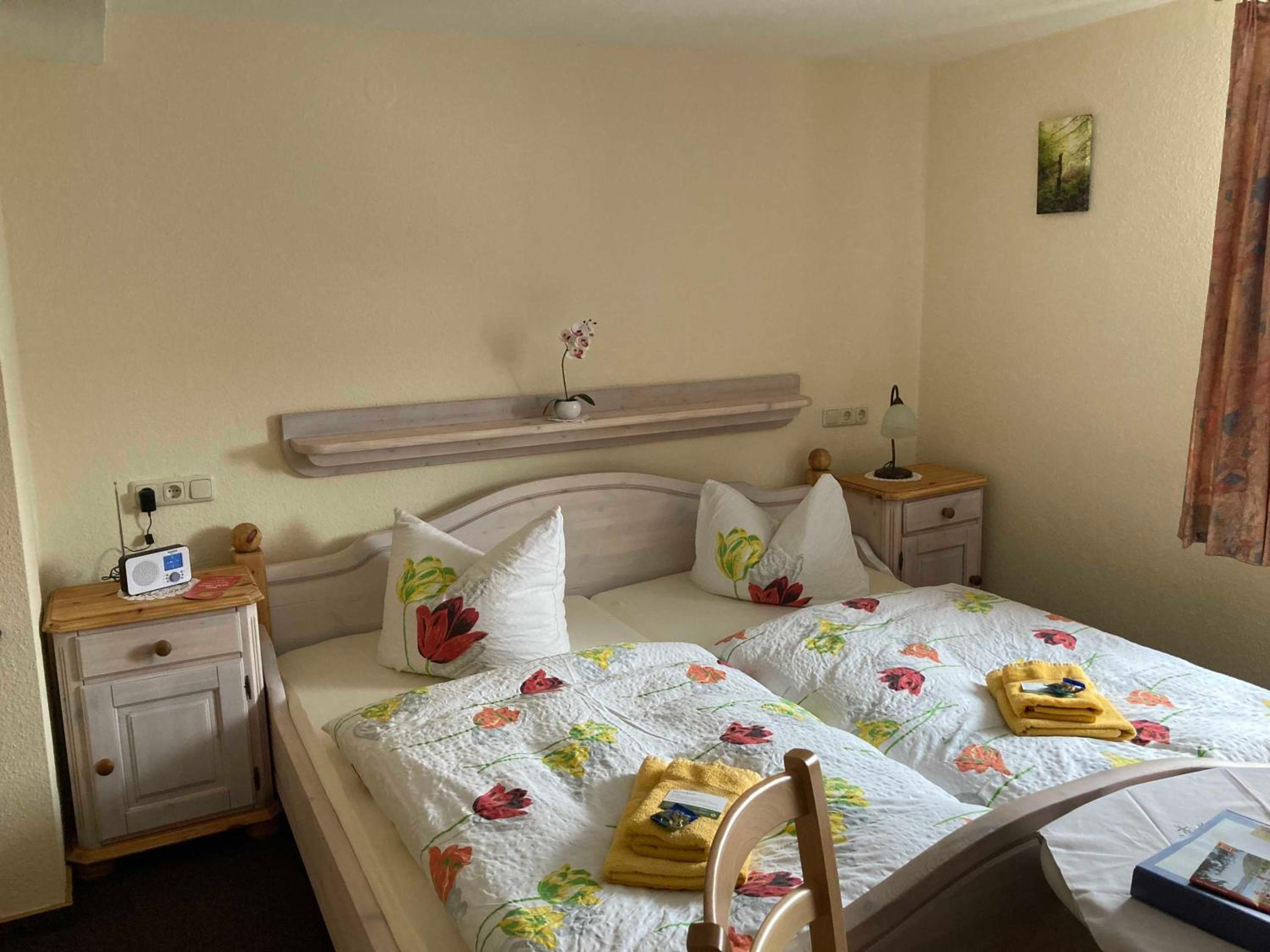 Deluxe Double Room (2 Adults + 1 Child) photo 1