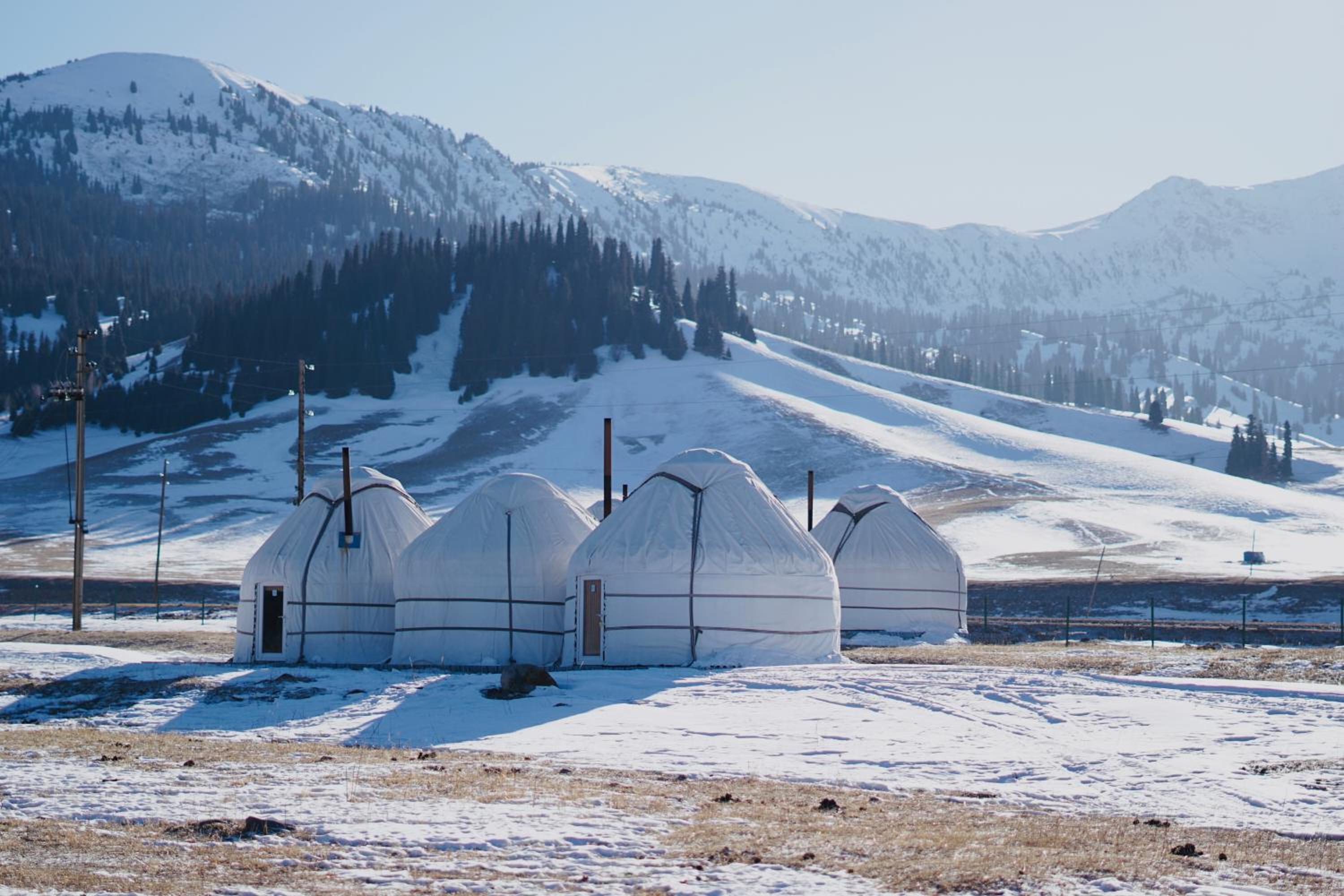 Tent photo 1