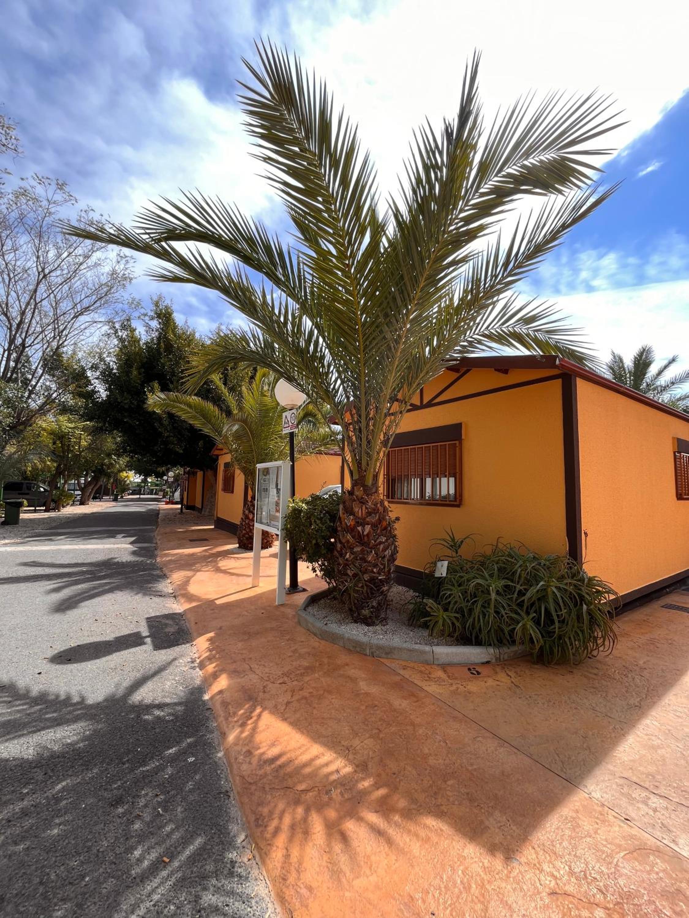 Bungalow (4 Adults) - Photo 6