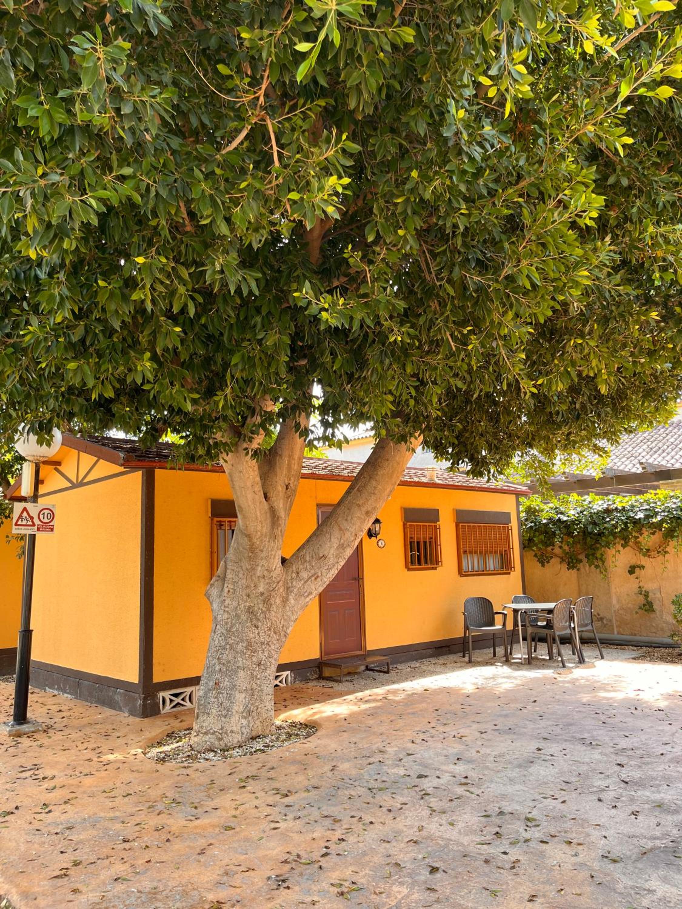 Bungalow (4 Adults) - Photo 5