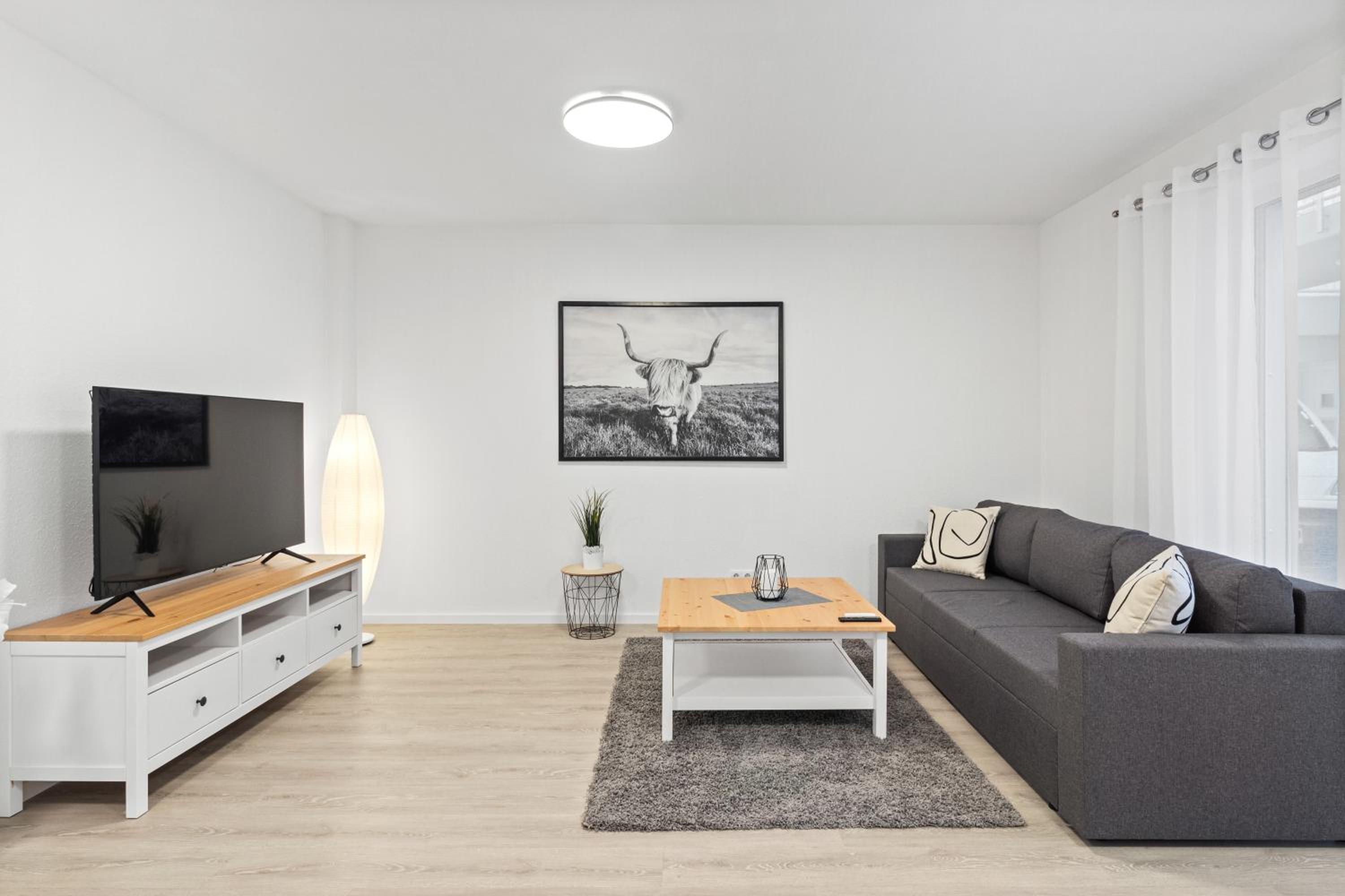 One-Bedroom Apartment photo 1