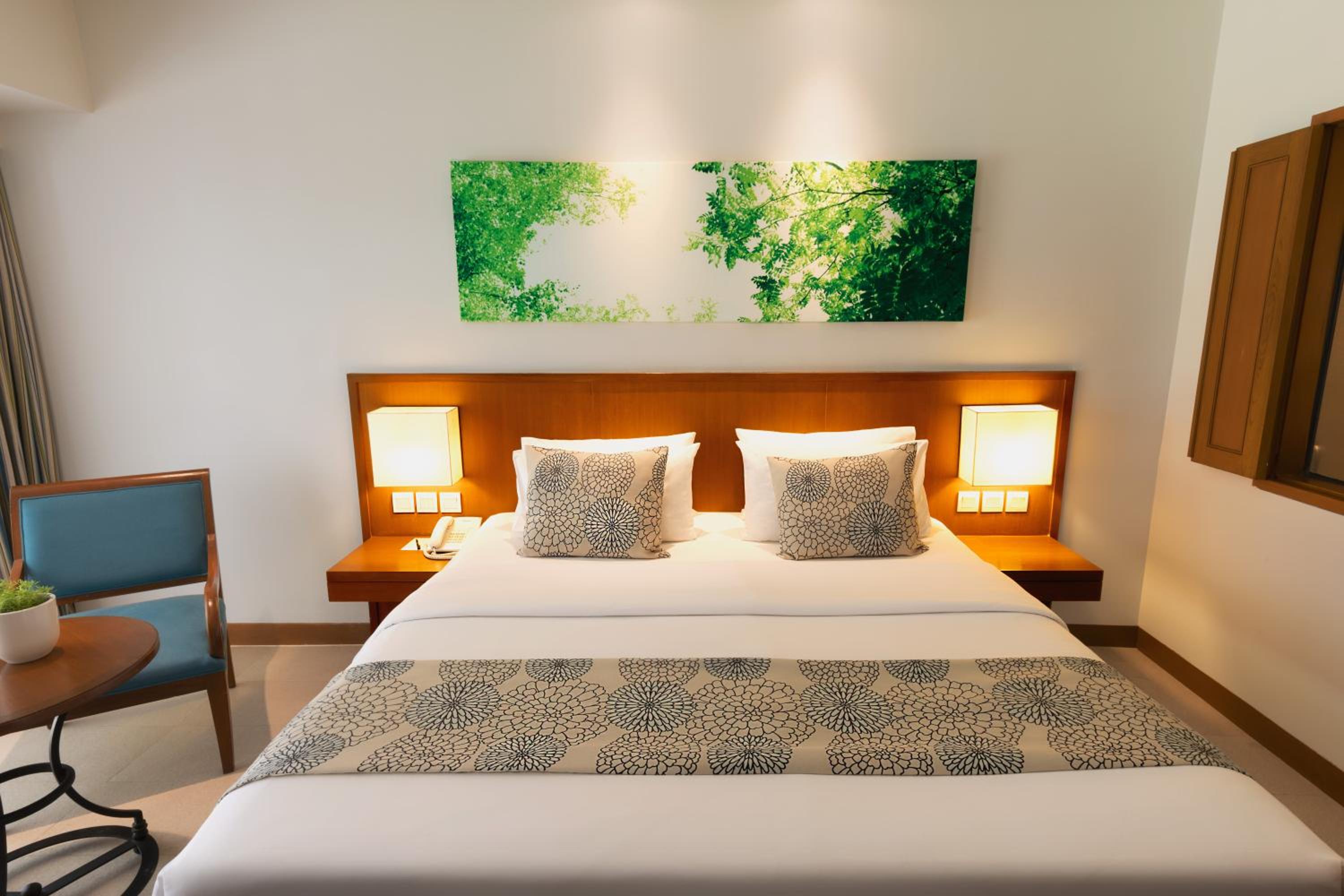 Superior Double Room - Photo 6