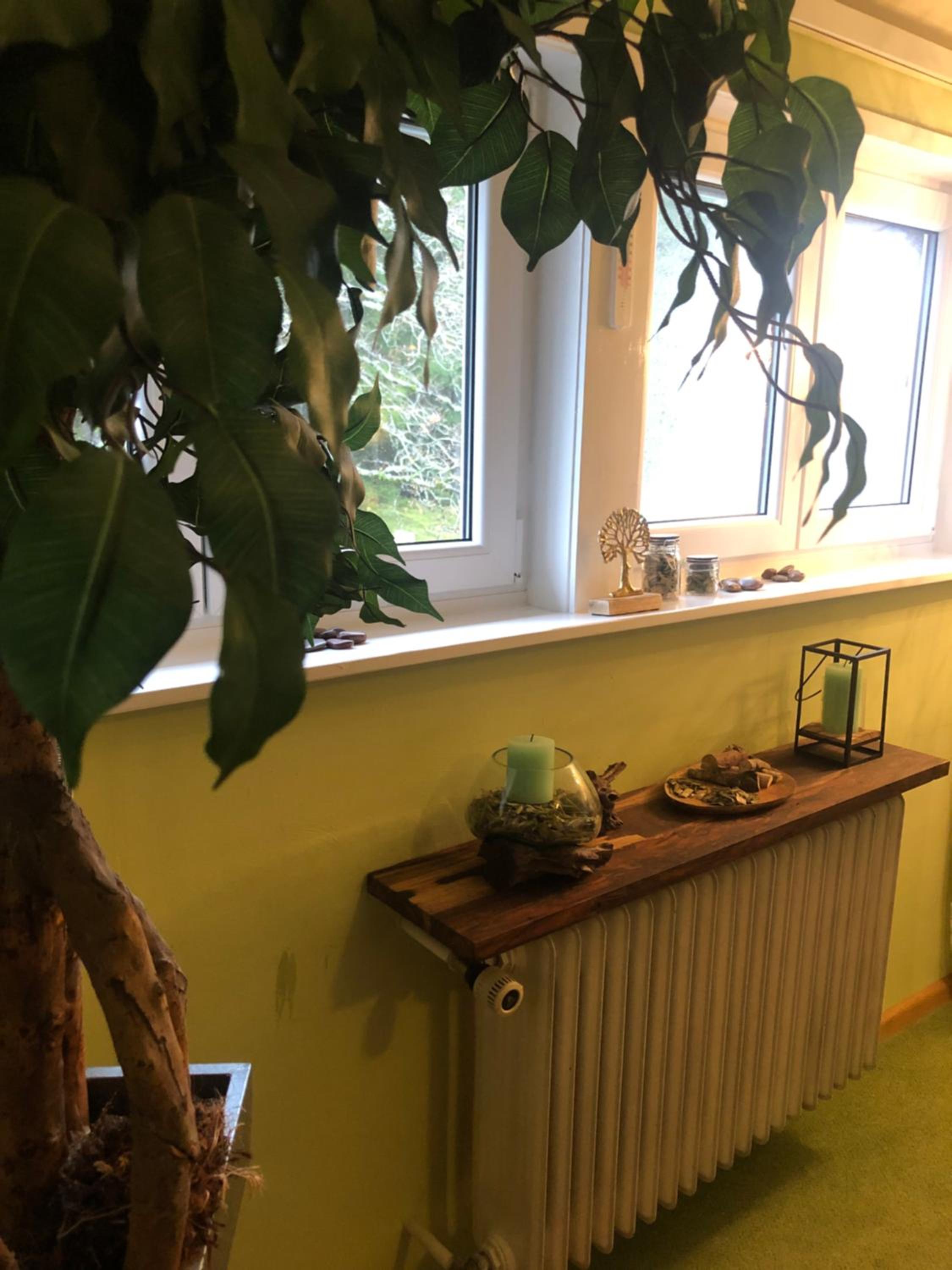 Tree Room photo 3