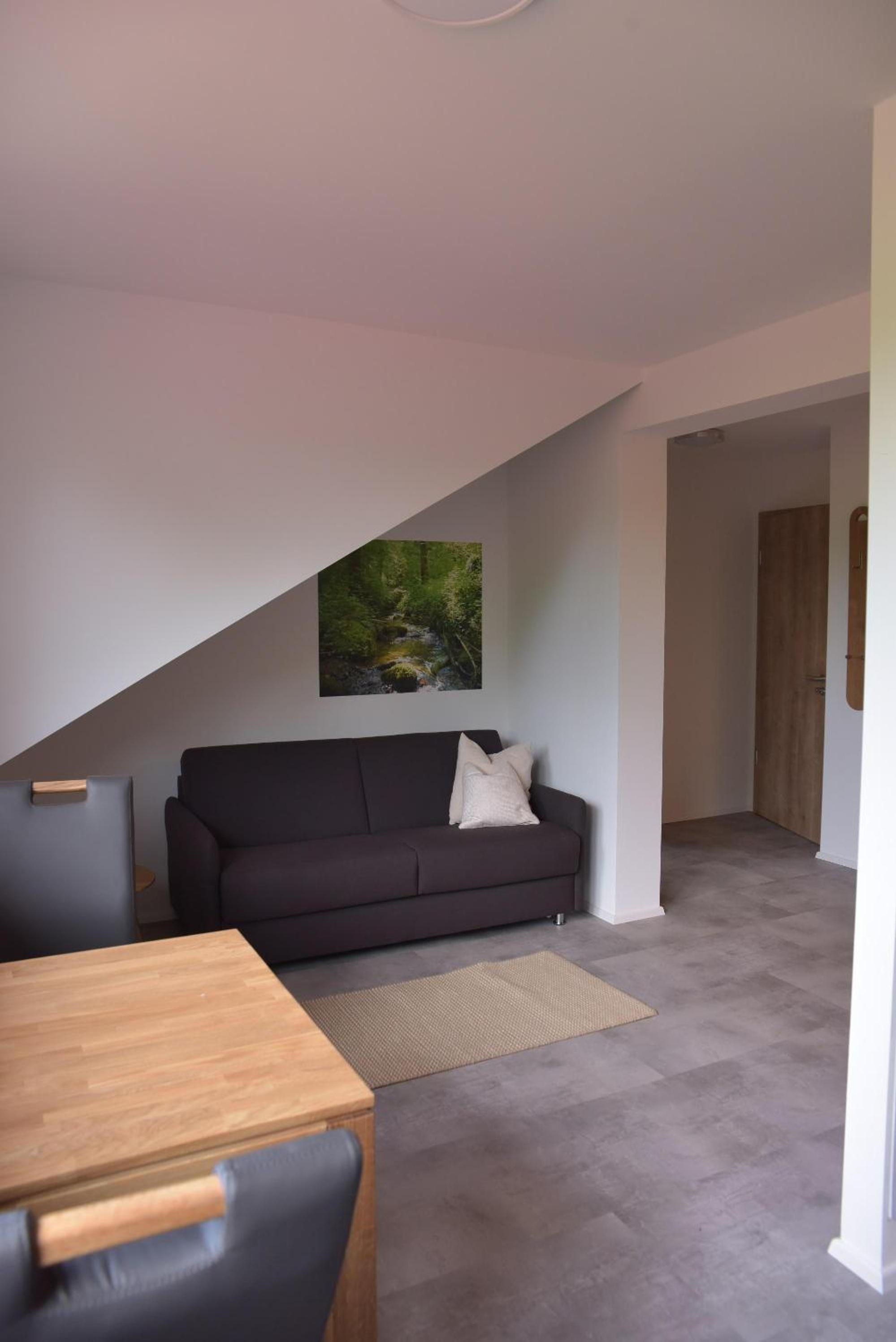 One-Bedroom Apartment with Bath photo 3