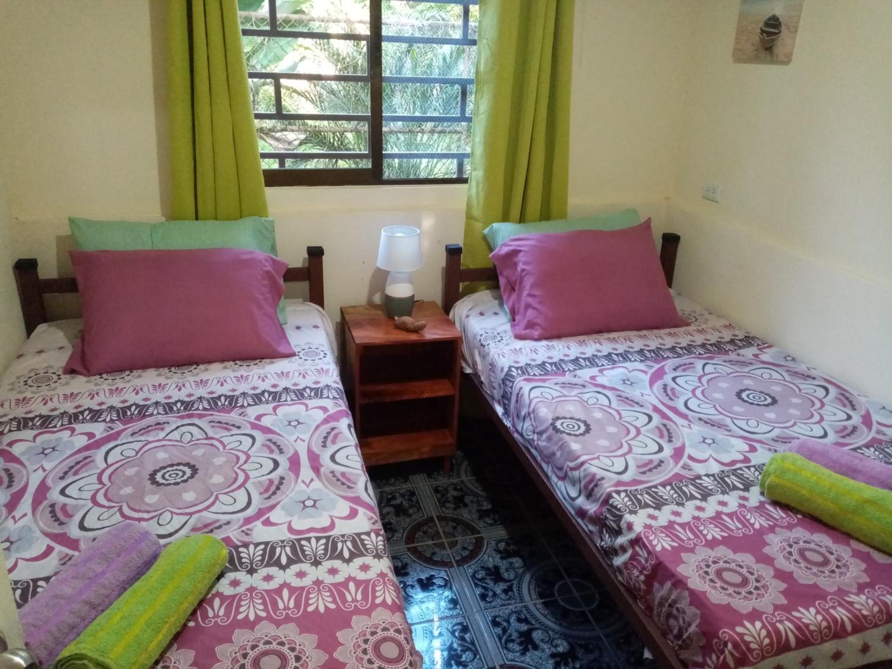 Twin Room with Shared Bathroom photo 2