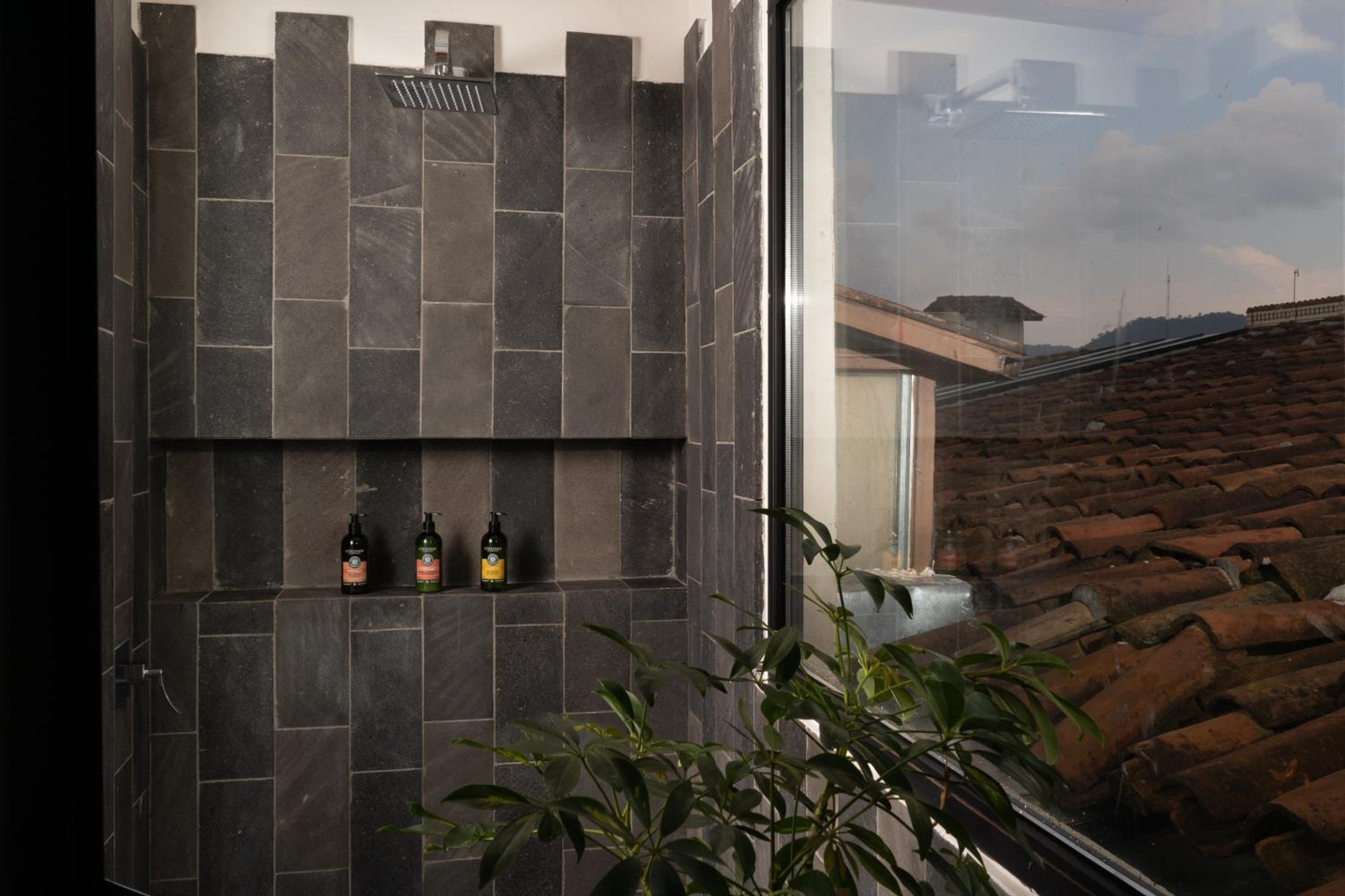 Suite - Photo 2
