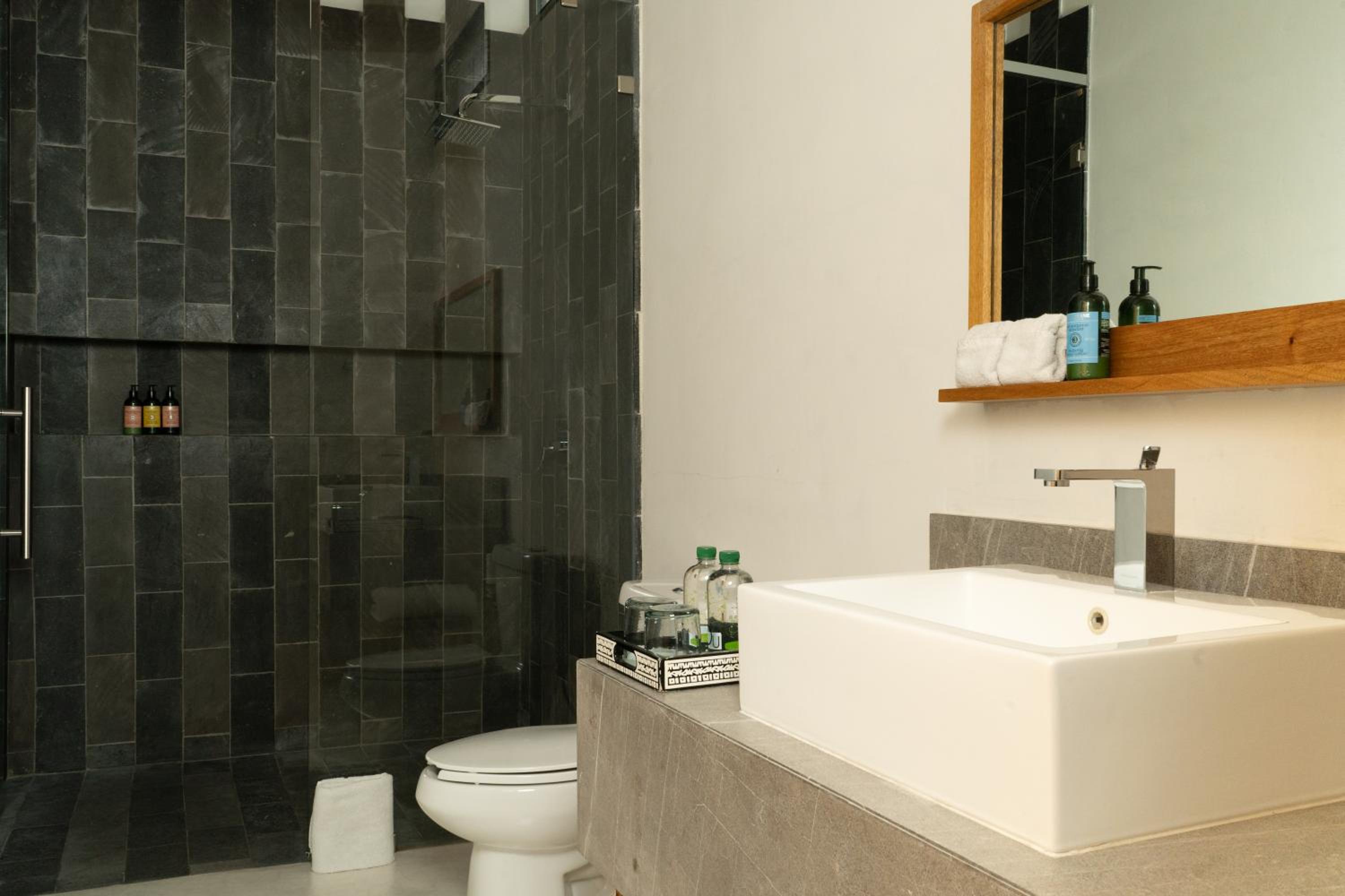 Deluxe King Suite - Photo 2