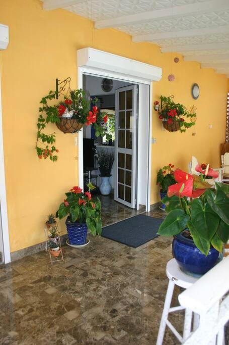 Three-Bedroom Villa photo 3