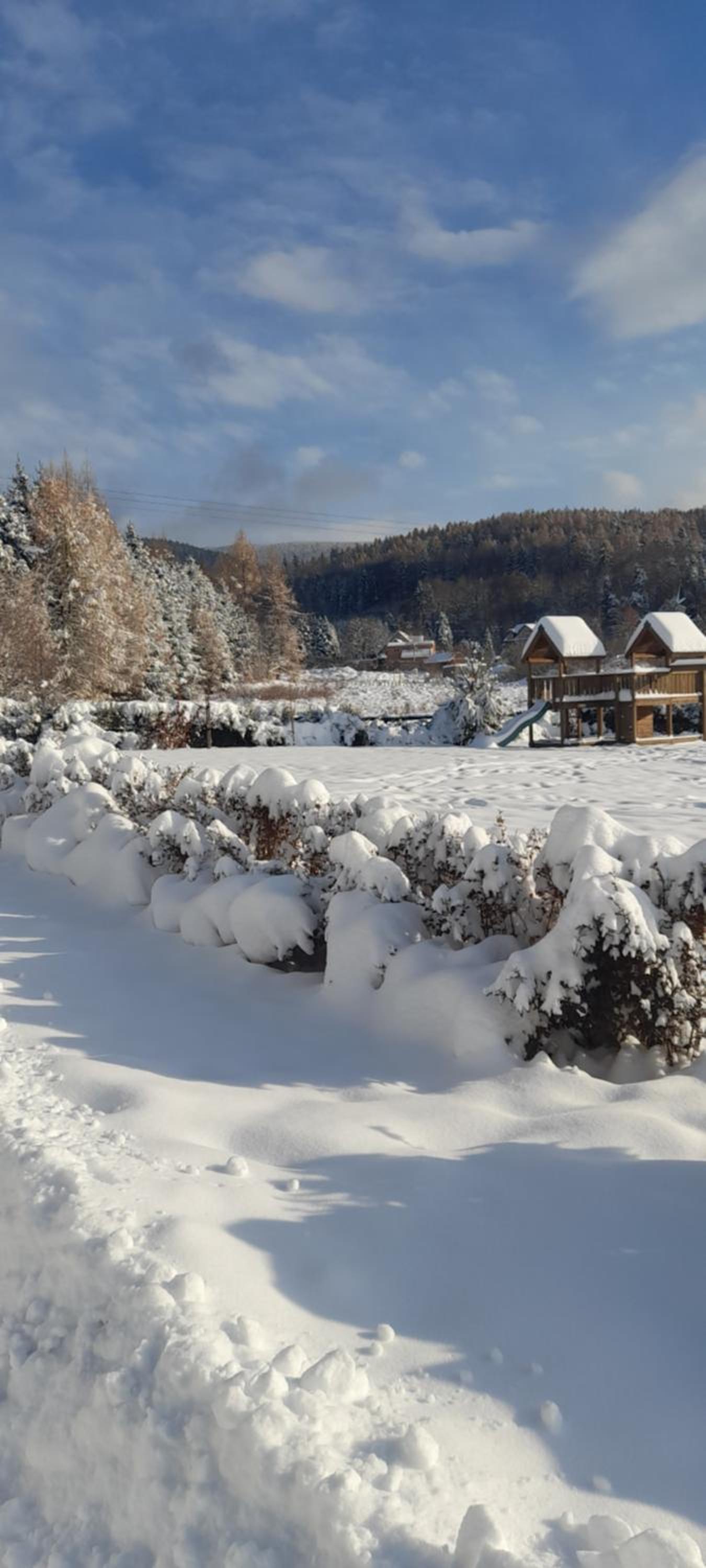 Two-Bedroom Chalet - Photo 4