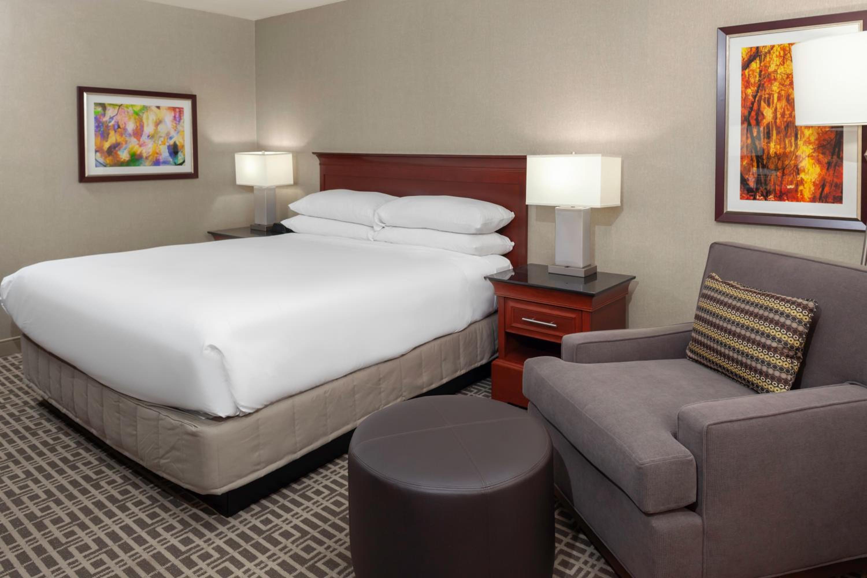 King Room photo 1