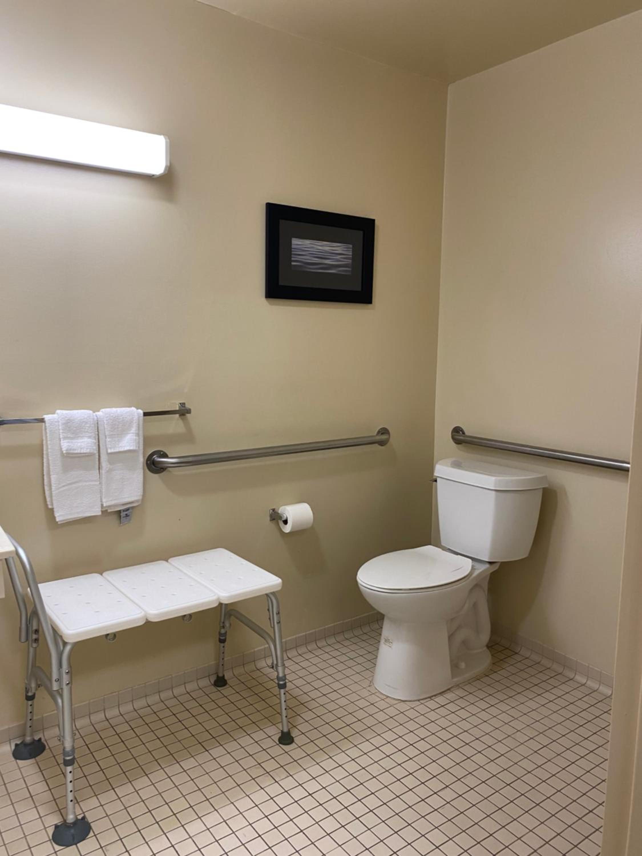Efficiency Queen Room with Roll-In Shower - Disability Access/Non Smoking/Pet Friendly - Photo 3
