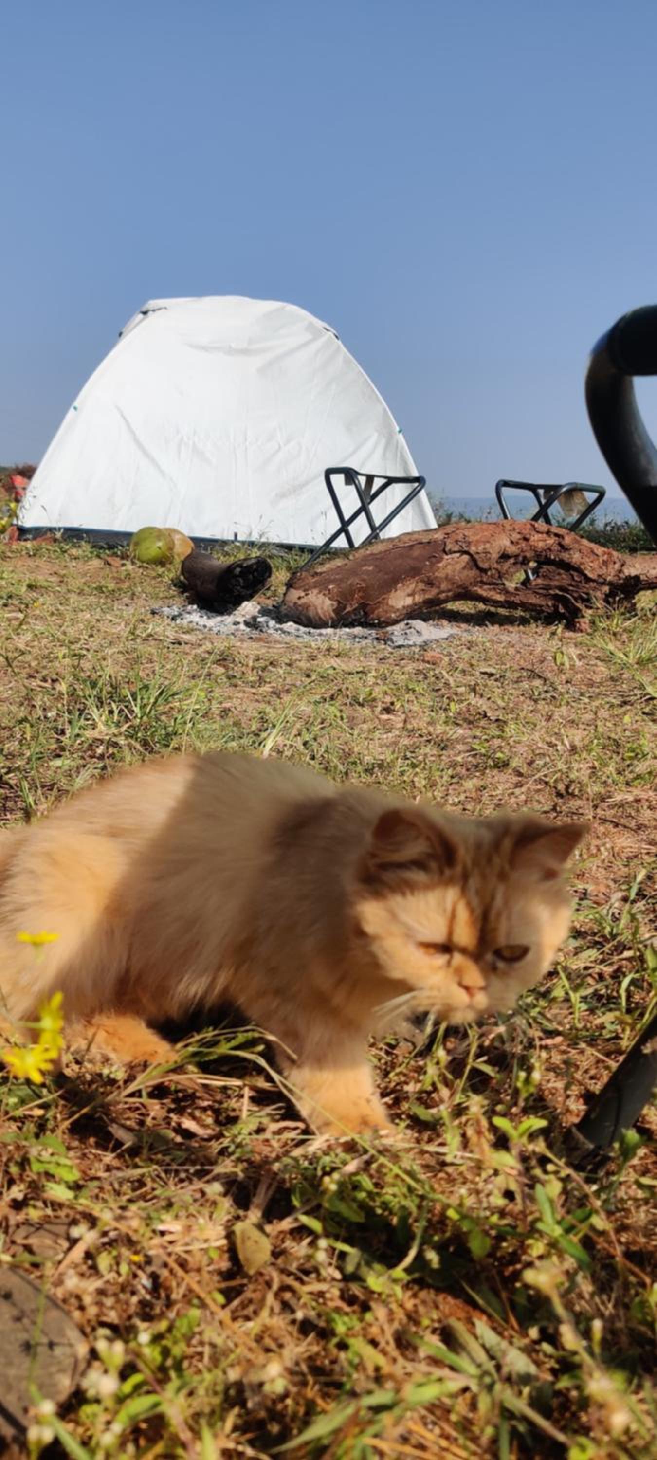 Tent photo 3